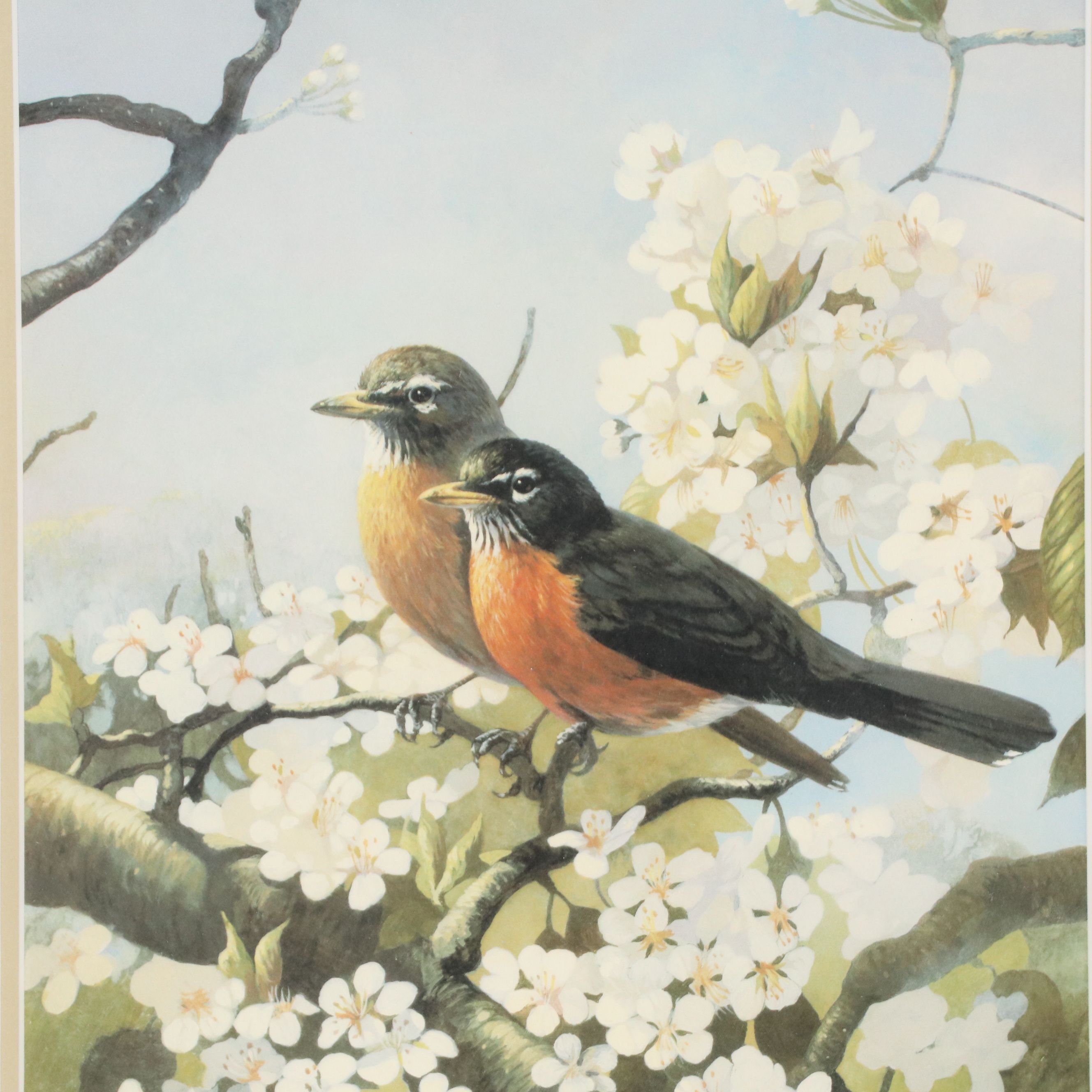 Mario Fernández Offset Lithograph "Spring Robins" and More