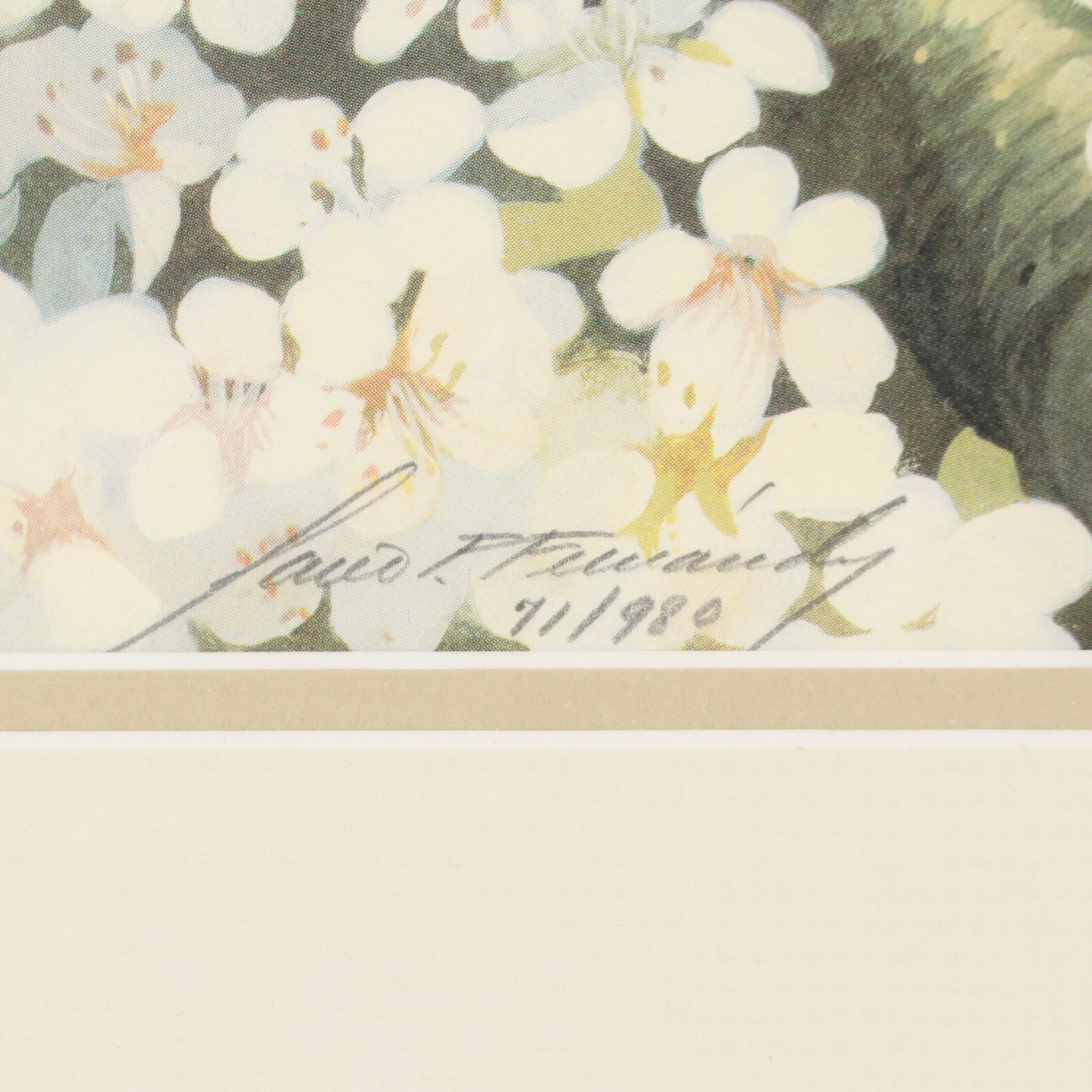 Mario Fernández Offset Lithograph "Spring Robins" and More