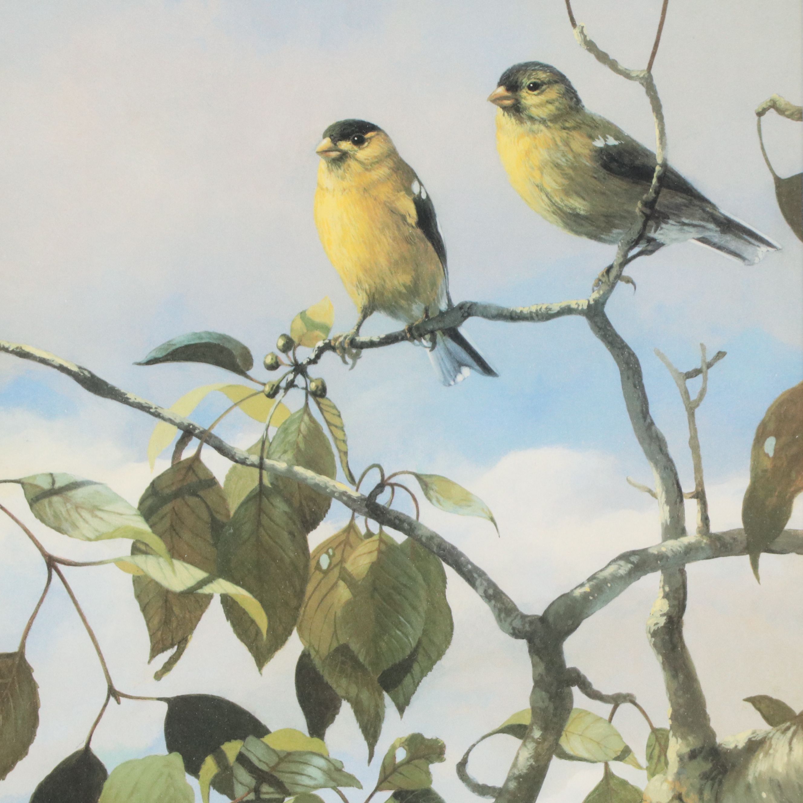 Mario Fernández Offset Lithograph "Spring Robins" and More