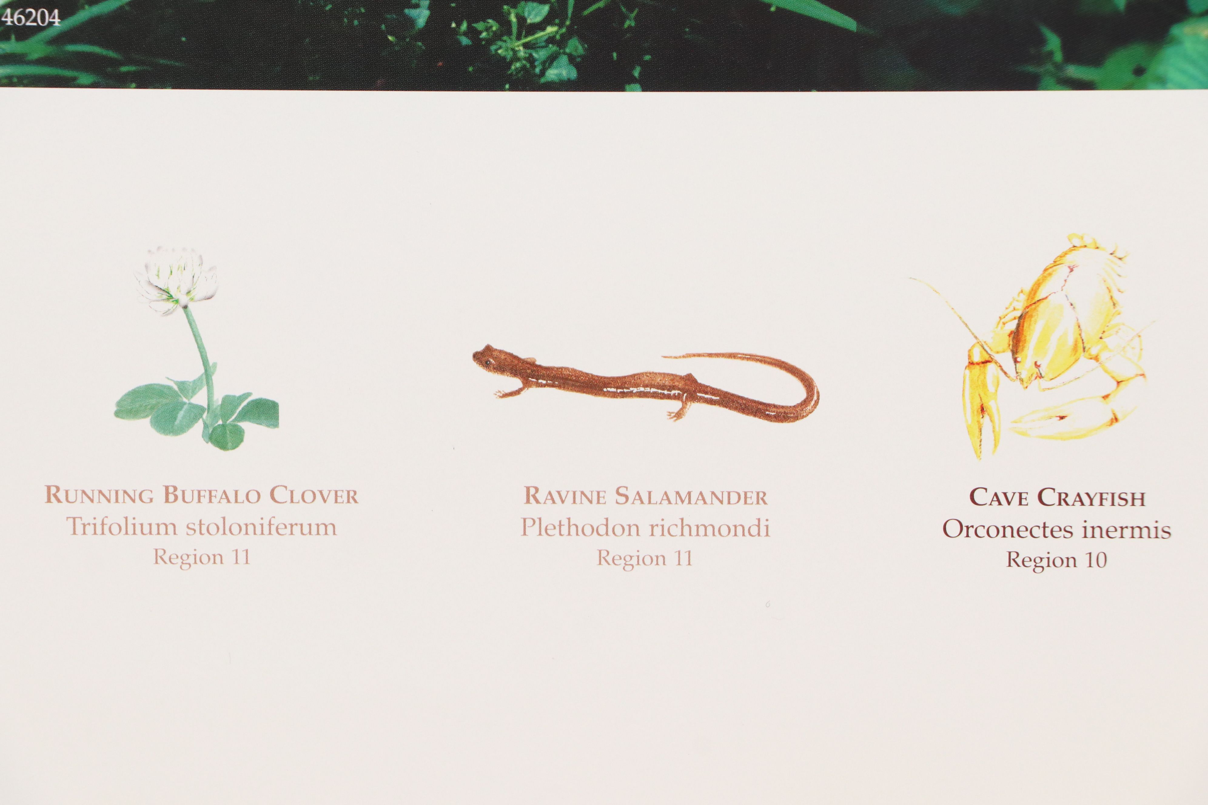 Educational Offset Lithograph Poster "Exploring Indiana Nature Preserves"