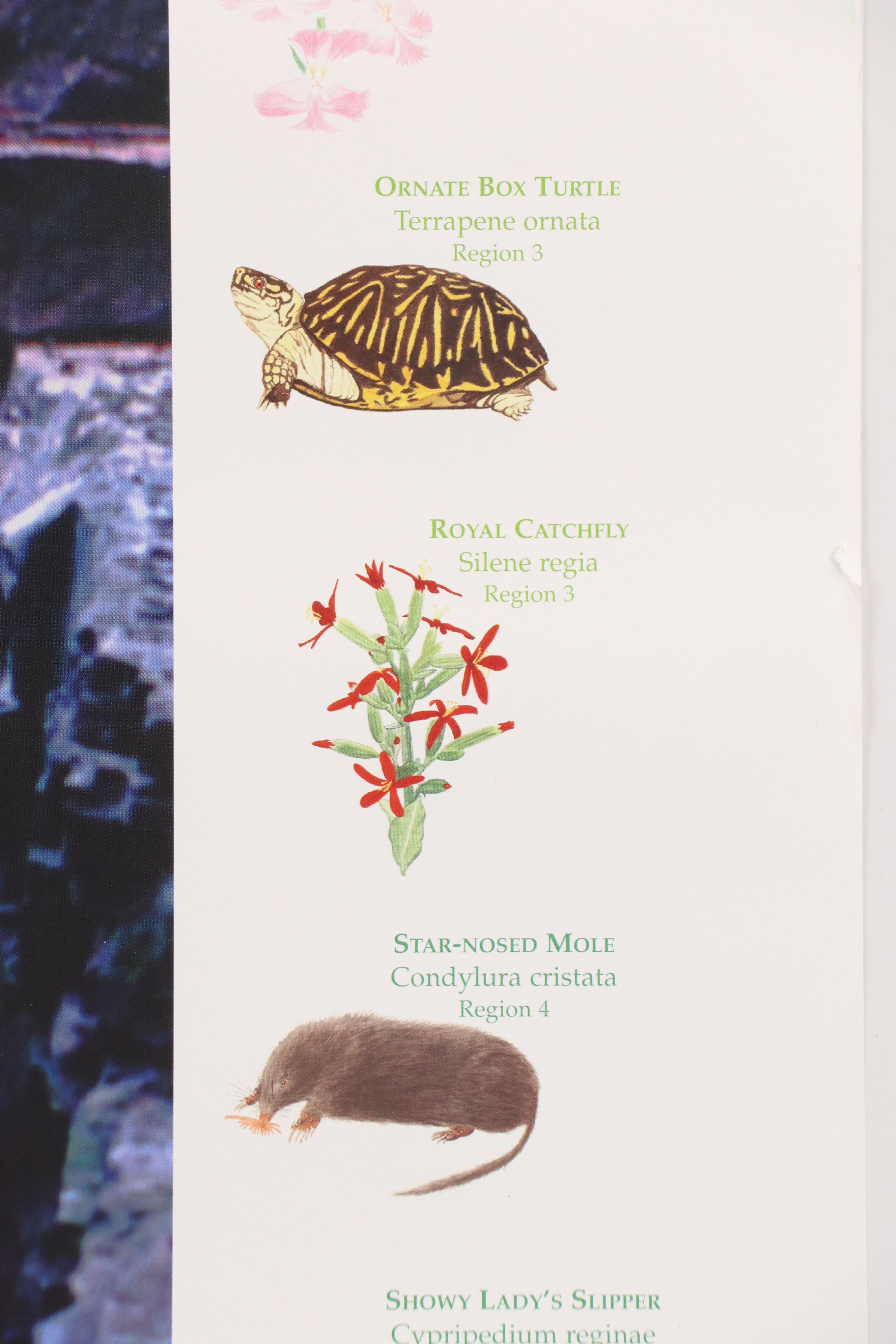 Educational Offset Lithograph Poster "Exploring Indiana Nature Preserves"