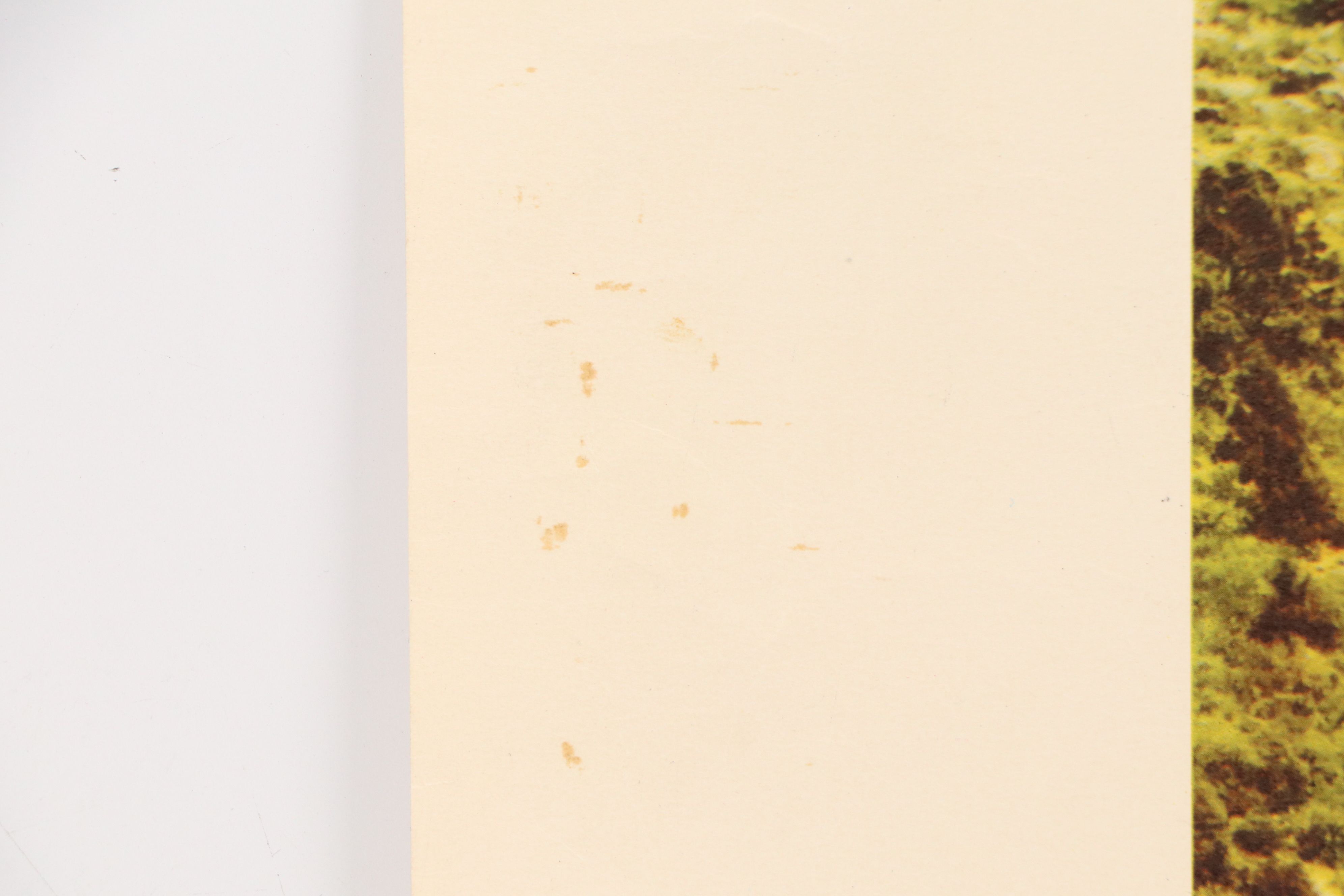 Offset Lithograph "Union Pacific Railroad, City of Los Angeles...," 20th Century