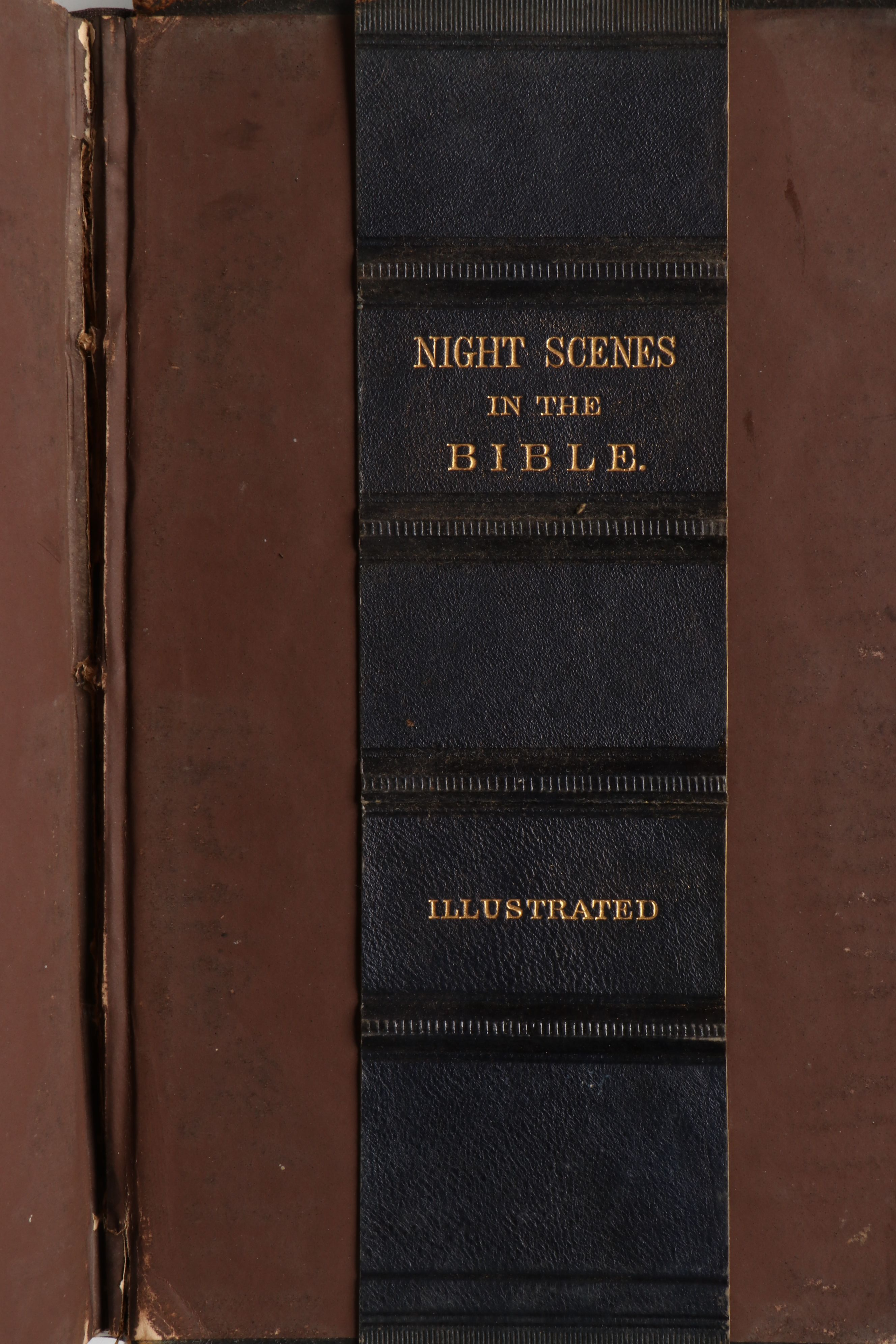 "Night Scenes in the Bible" by Rev. Daniel March, 1868