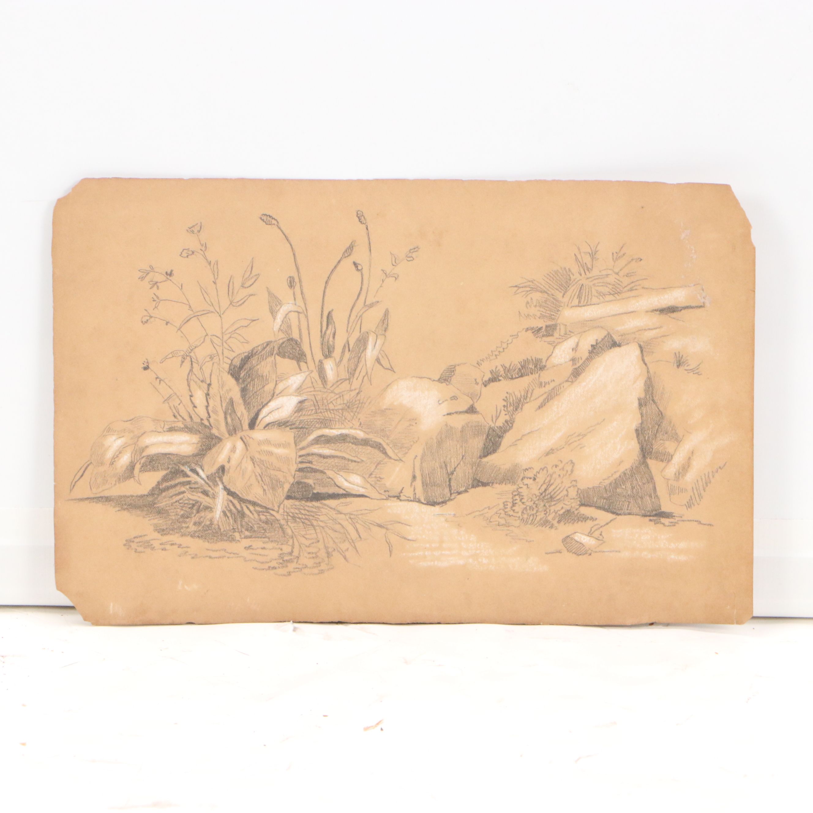 Portfolio of Mixed Media Drawings of Landscape Studies and More, 19th Century