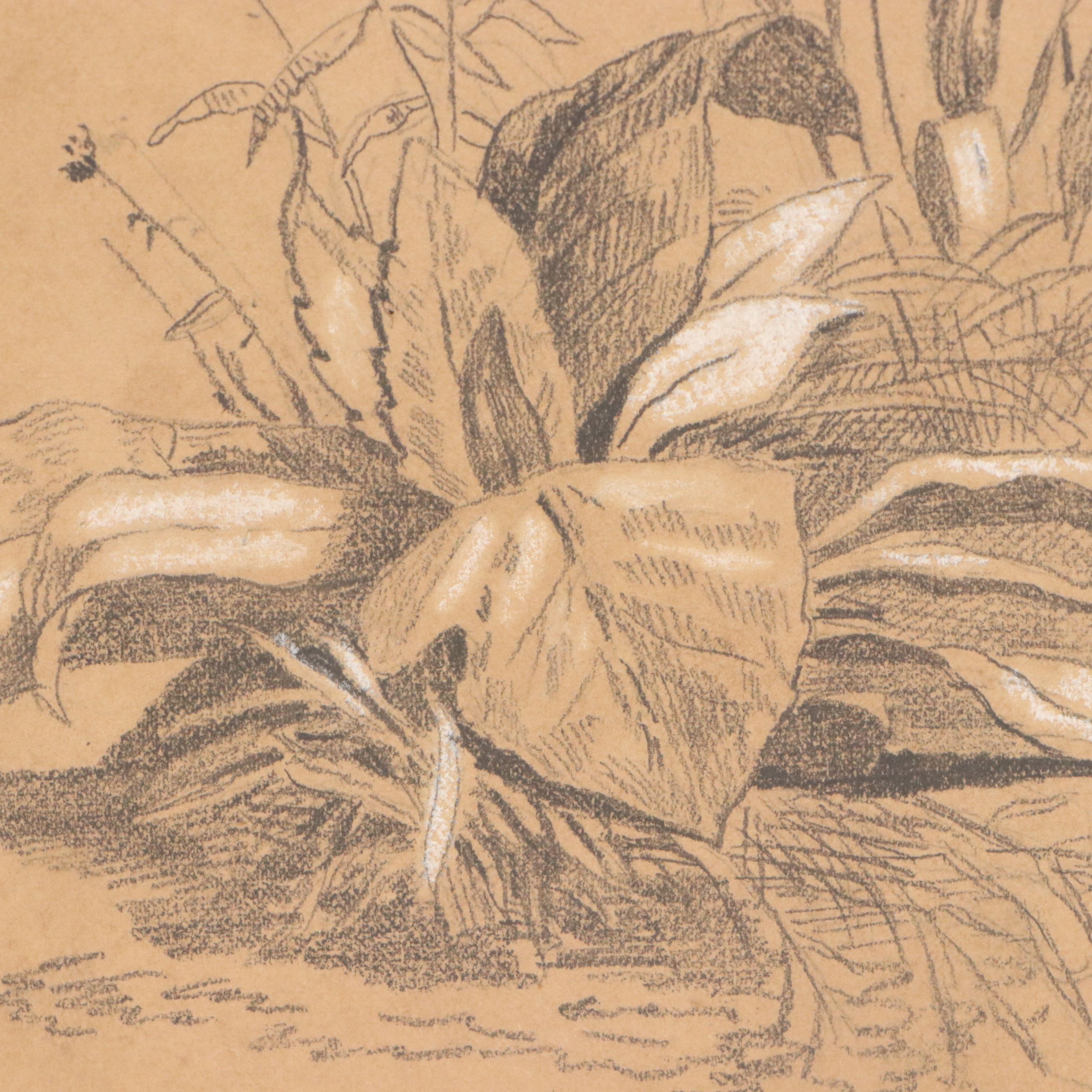 Portfolio of Mixed Media Drawings of Landscape Studies and More, 19th Century