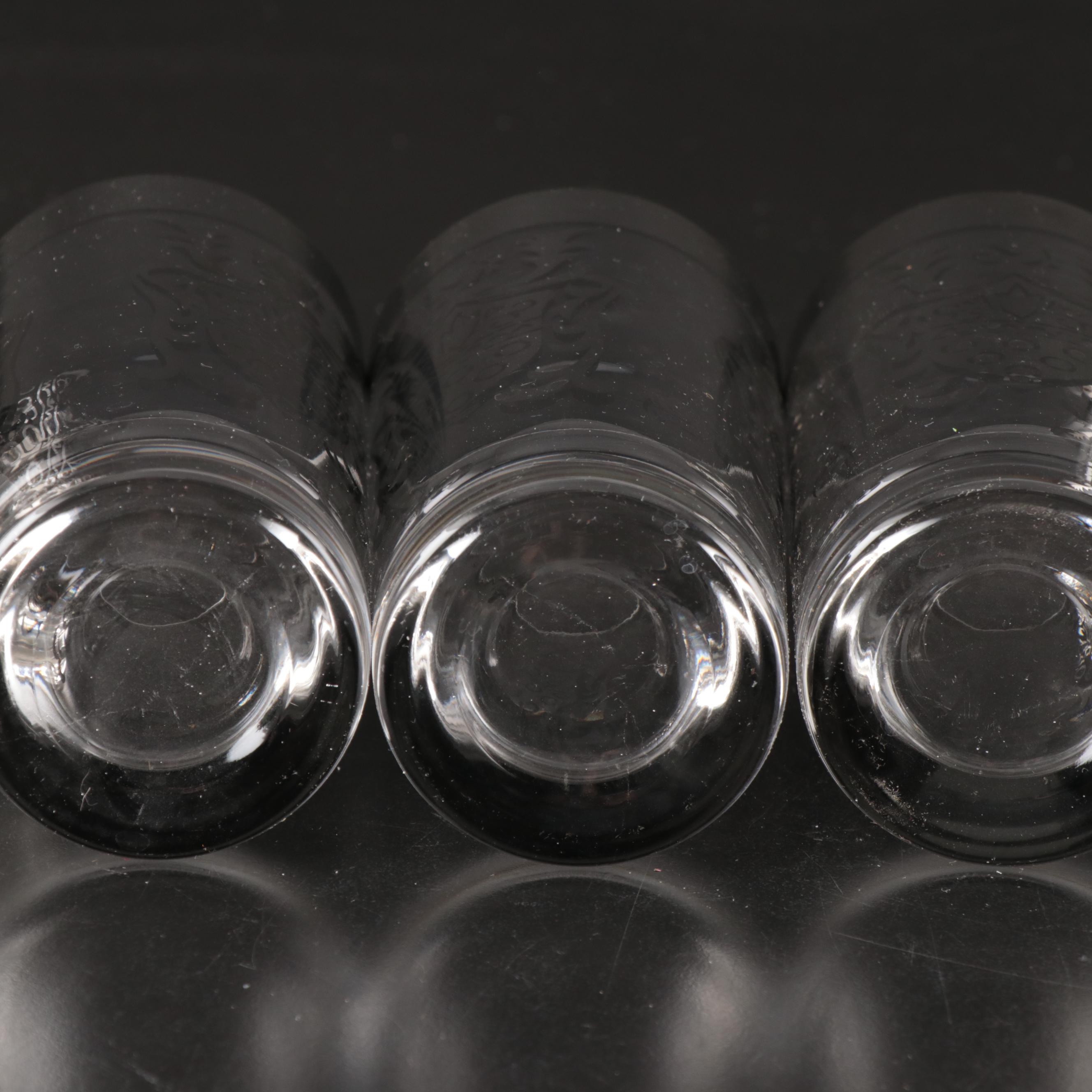 Kimiko Heraldic Silver Finish Highball Glasses