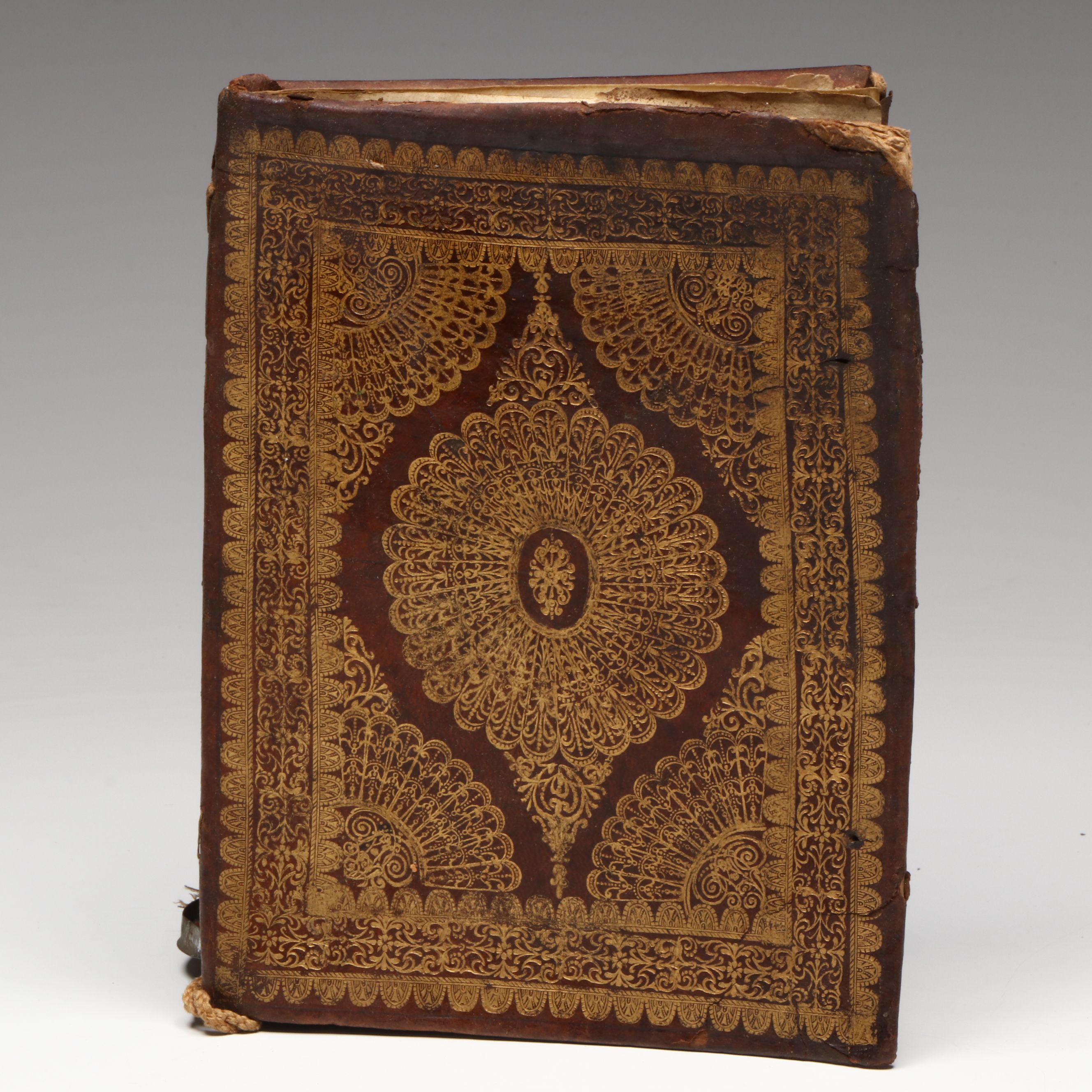 Illuminated Doctoral Diploma from the University of Pavia (c. 1680)