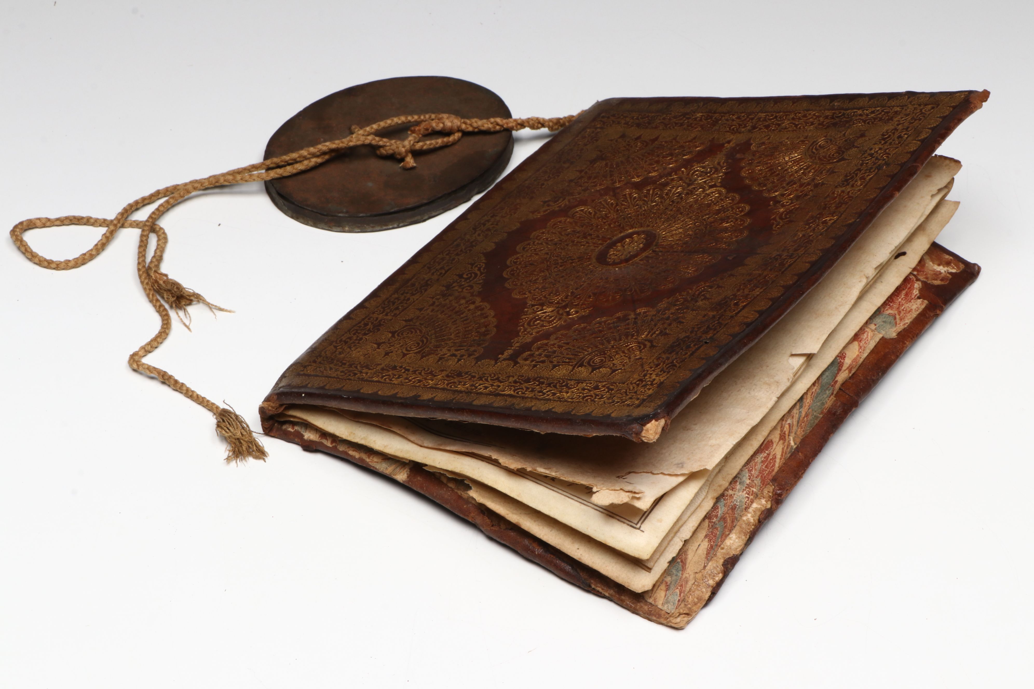 Illuminated Doctoral Diploma from the University of Pavia (c. 1680)