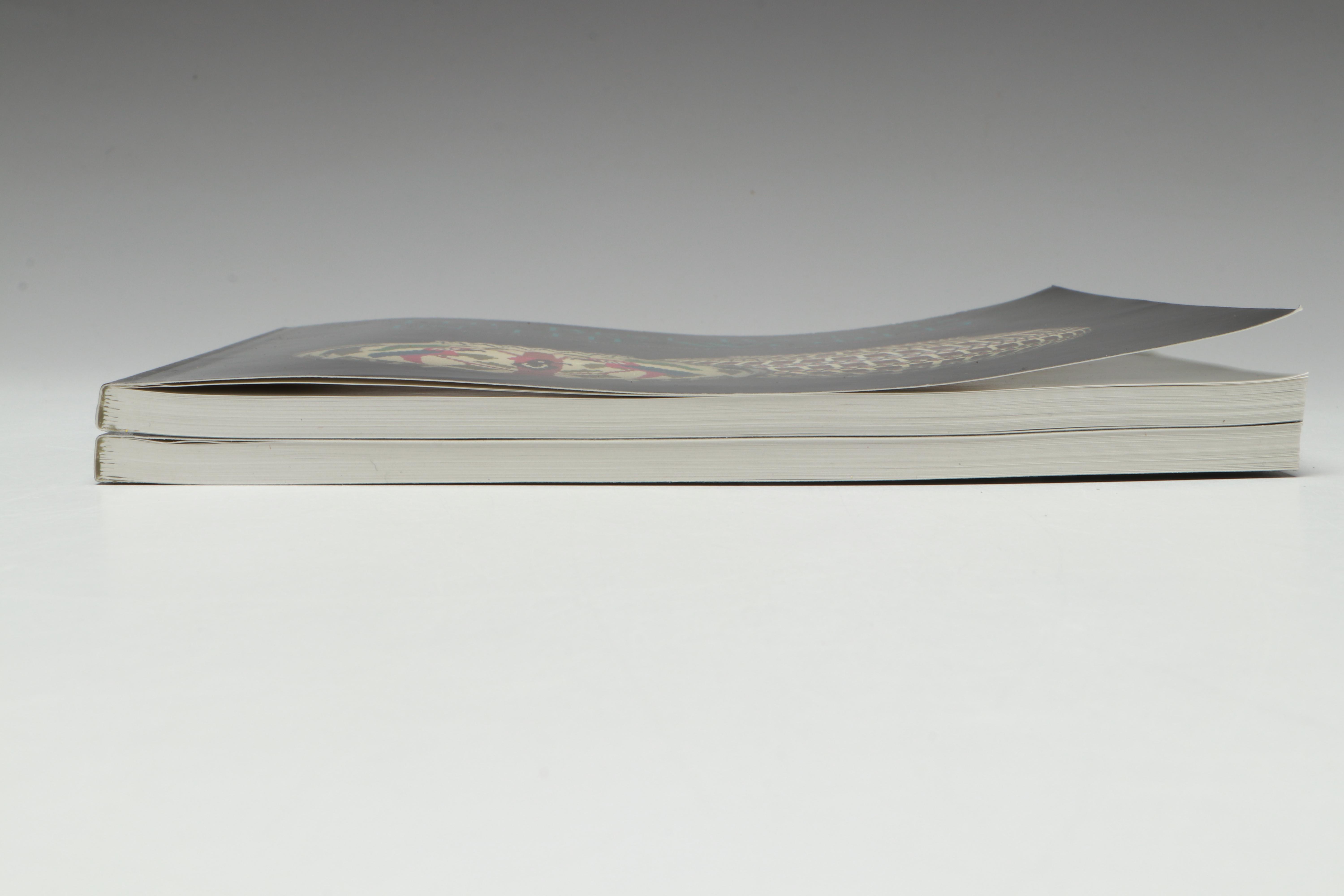 Panamanian Emberá-Wounaan Chunga Fiber Figural Adornments and Basket