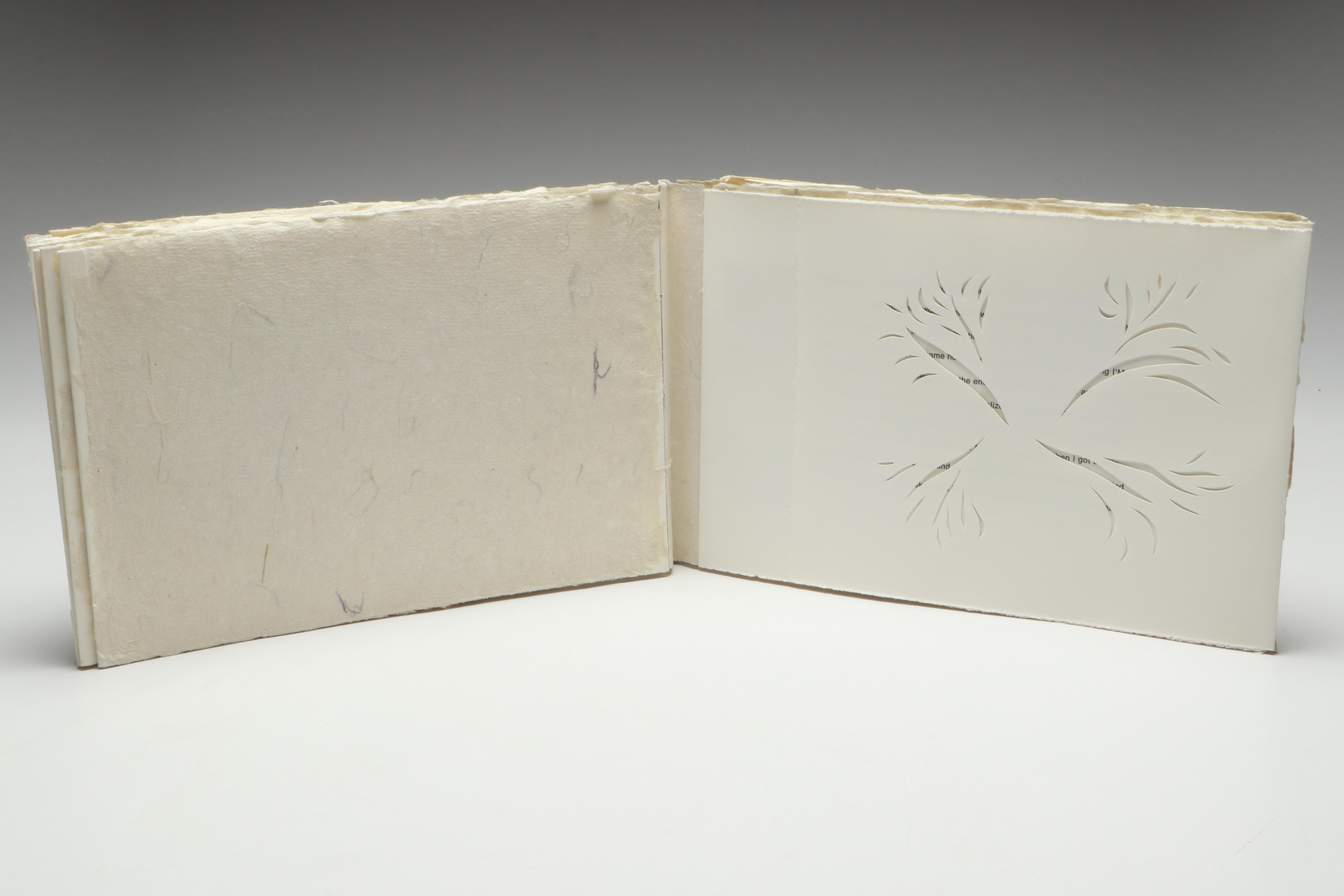 Signed Limited Edition "Completing the Circle" by Philomena Robinson, 1996