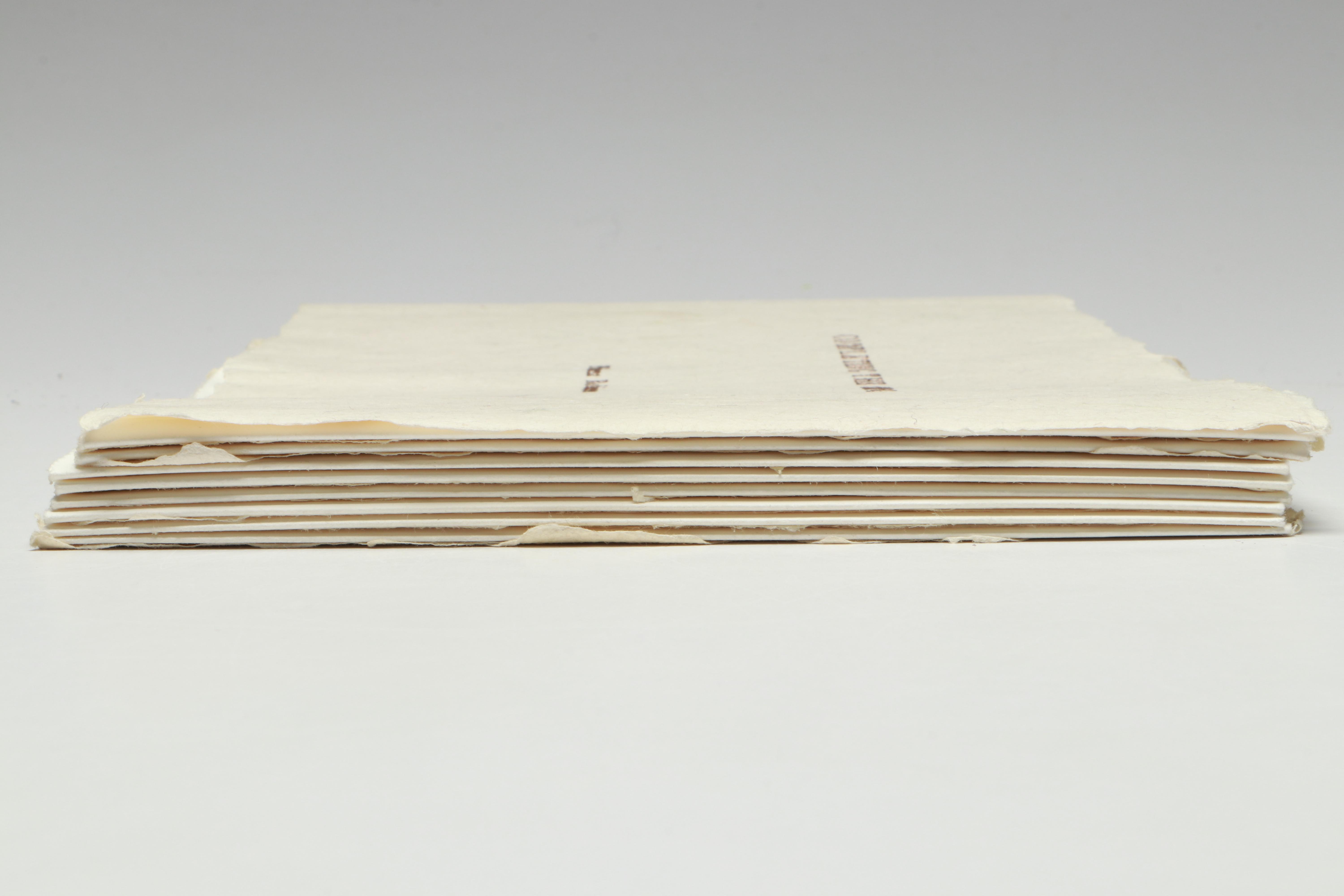 Signed Limited Edition "Completing the Circle" by Philomena Robinson, 1996