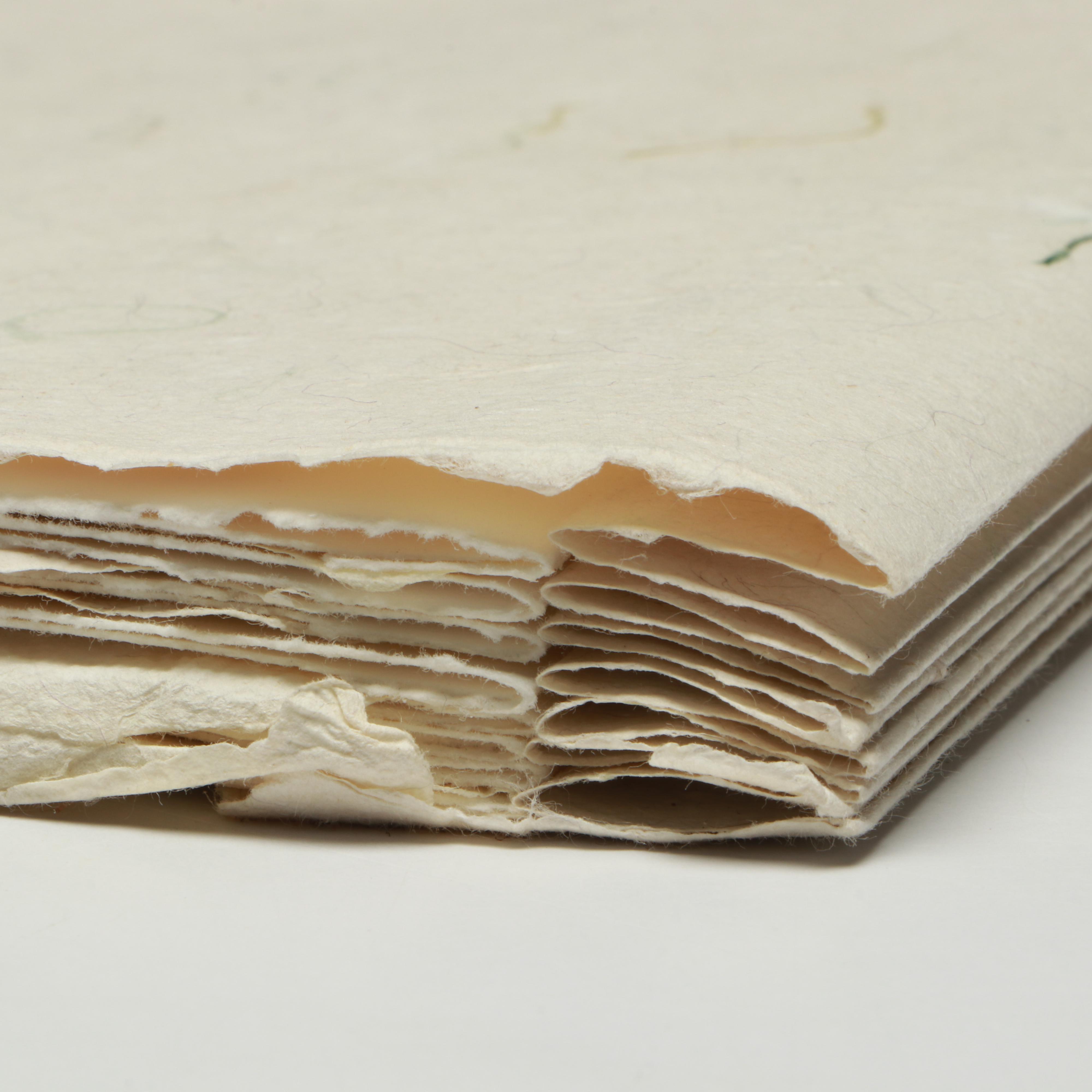 Signed Limited Edition "Completing the Circle" by Philomena Robinson, 1996