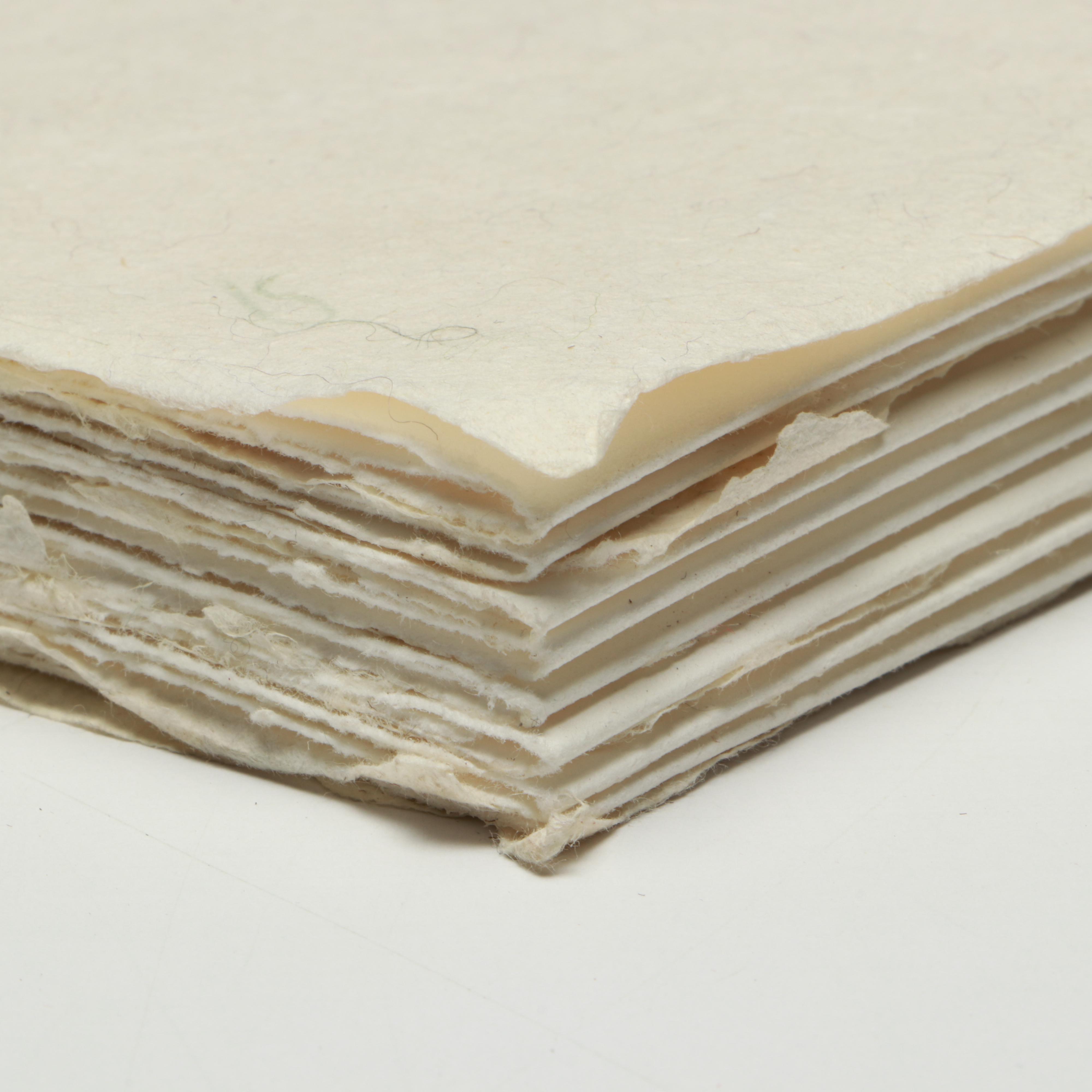 Signed Limited Edition "Completing the Circle" by Philomena Robinson, 1996