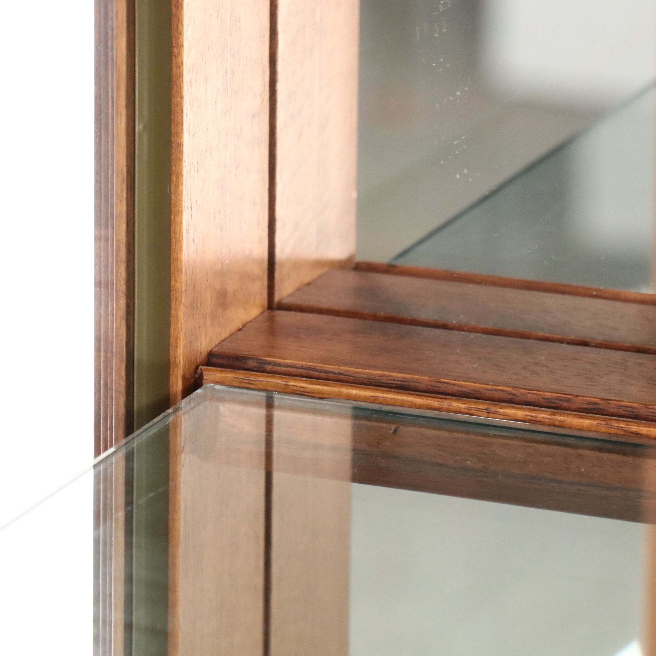 Traditional Style Illuminated Curio Cabinet