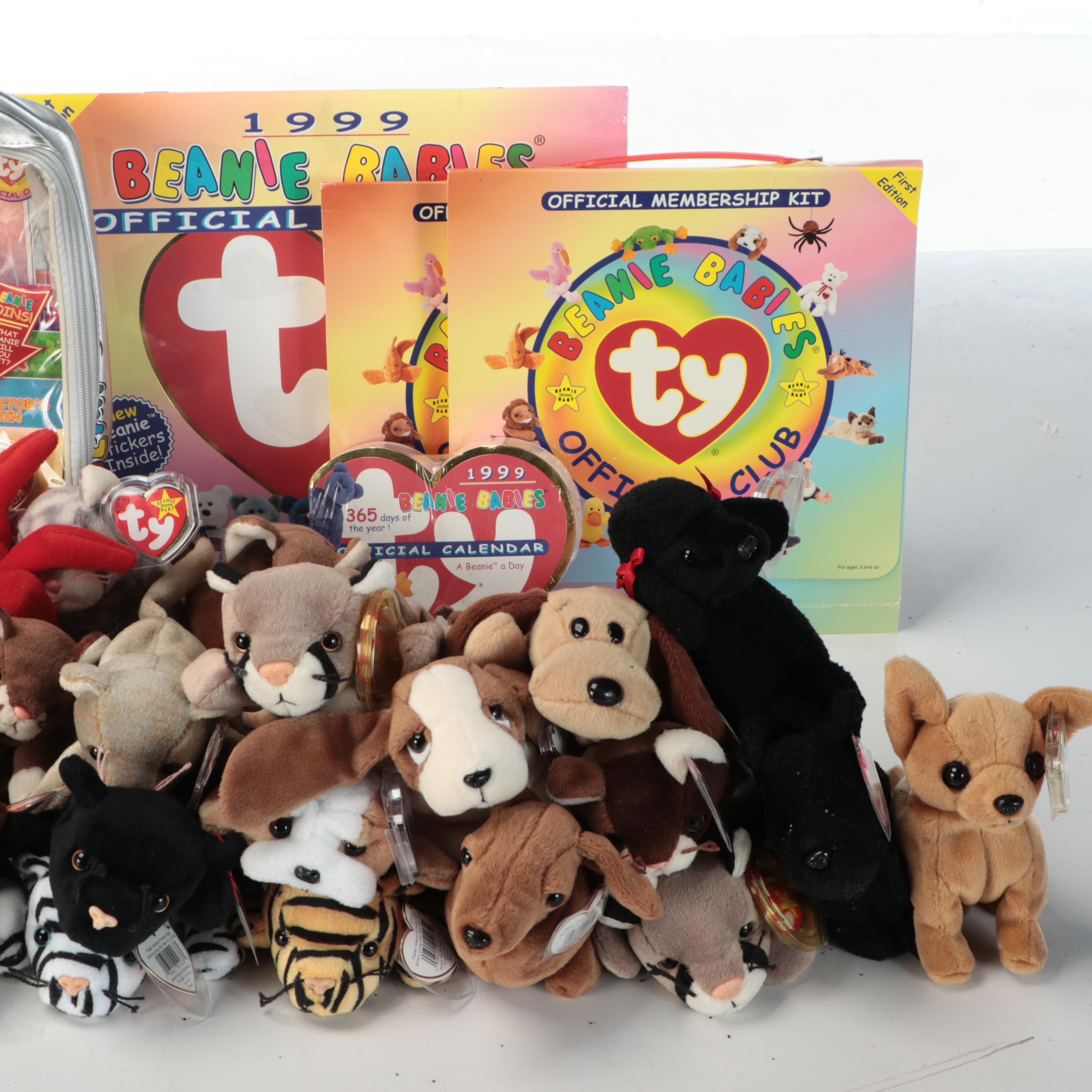 Ty Beanie Babies with Books