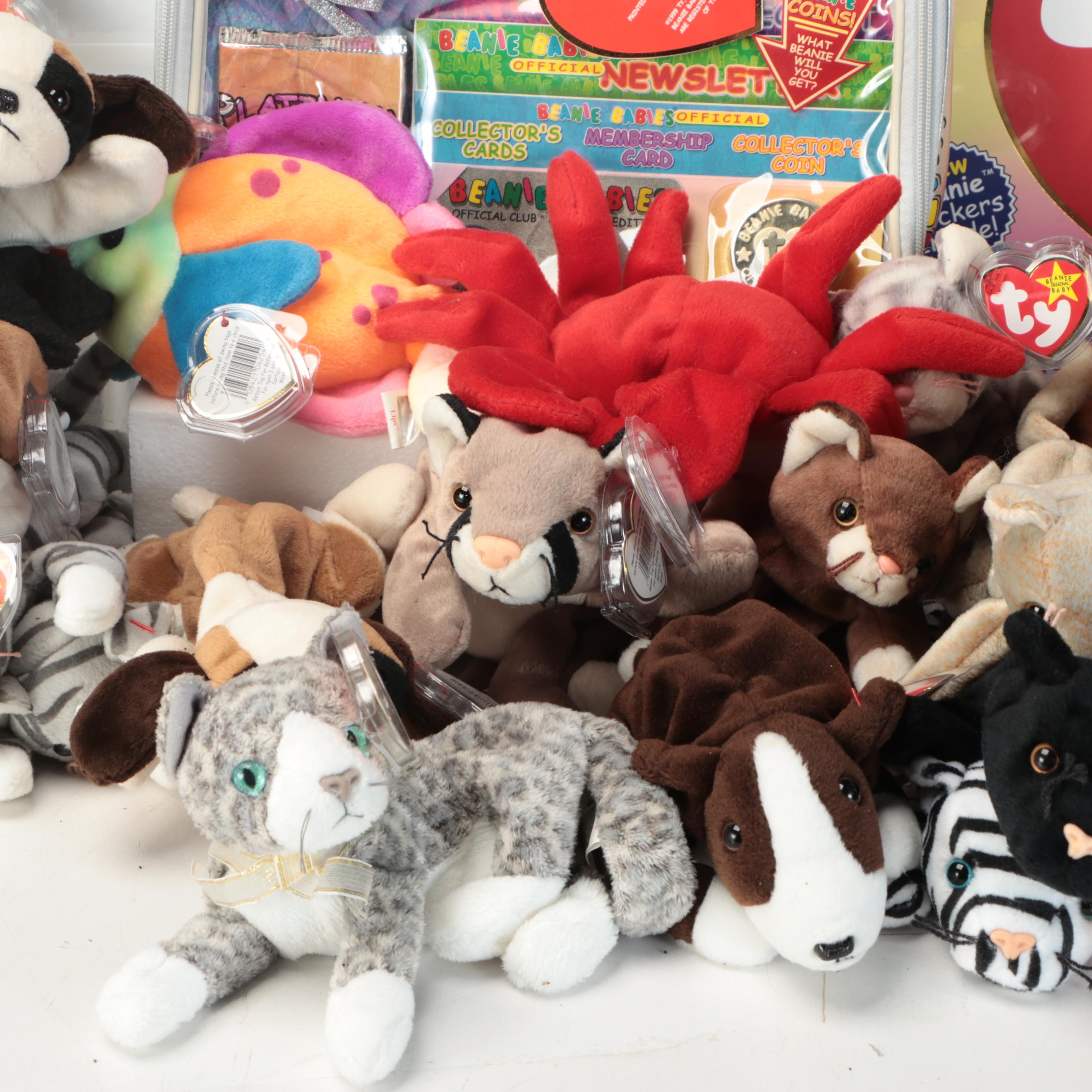 Ty Beanie Babies with Books