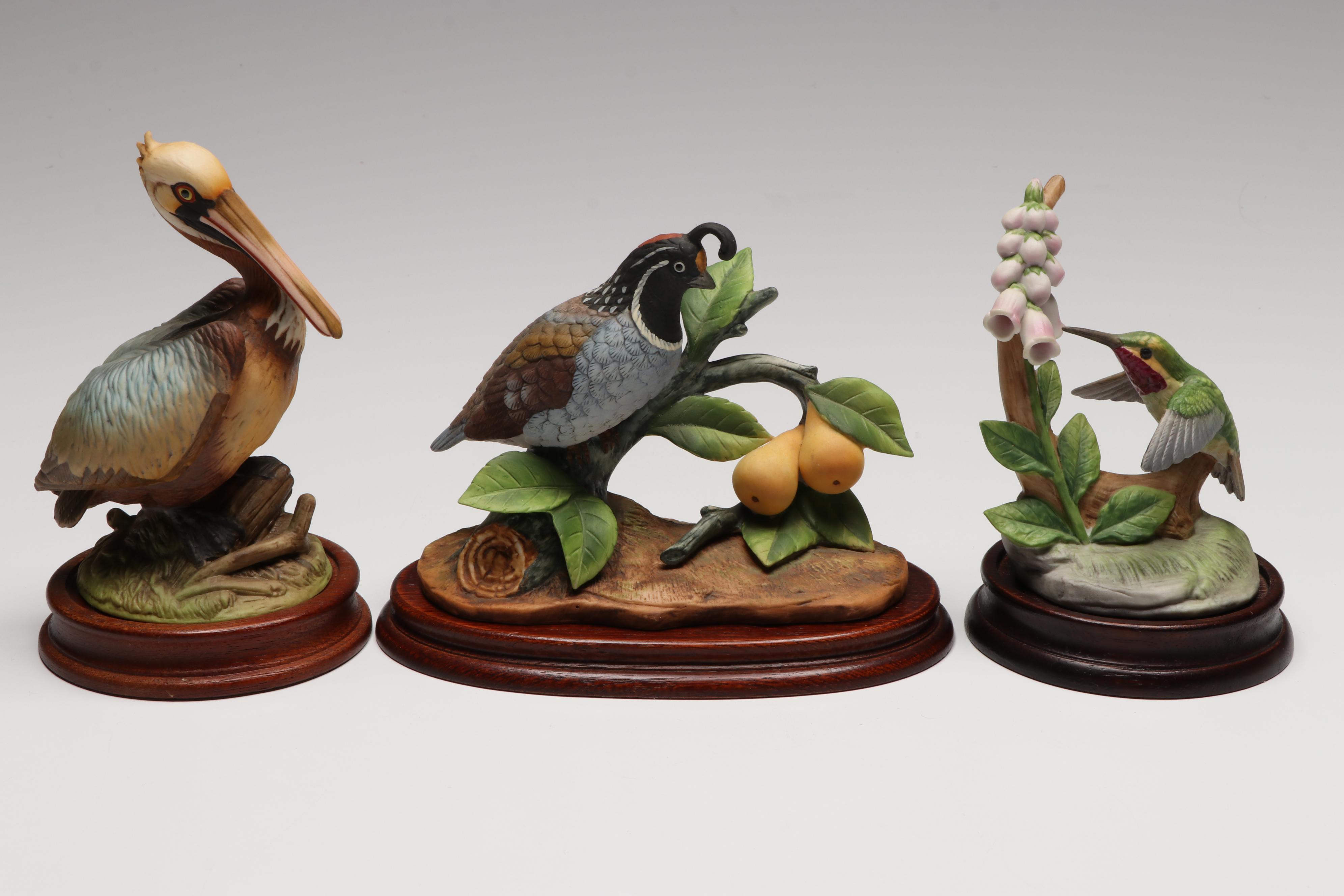 Andrea by Sadek "Brown Pelican," "Calliope Hummingbird" and More Porcelain Birds