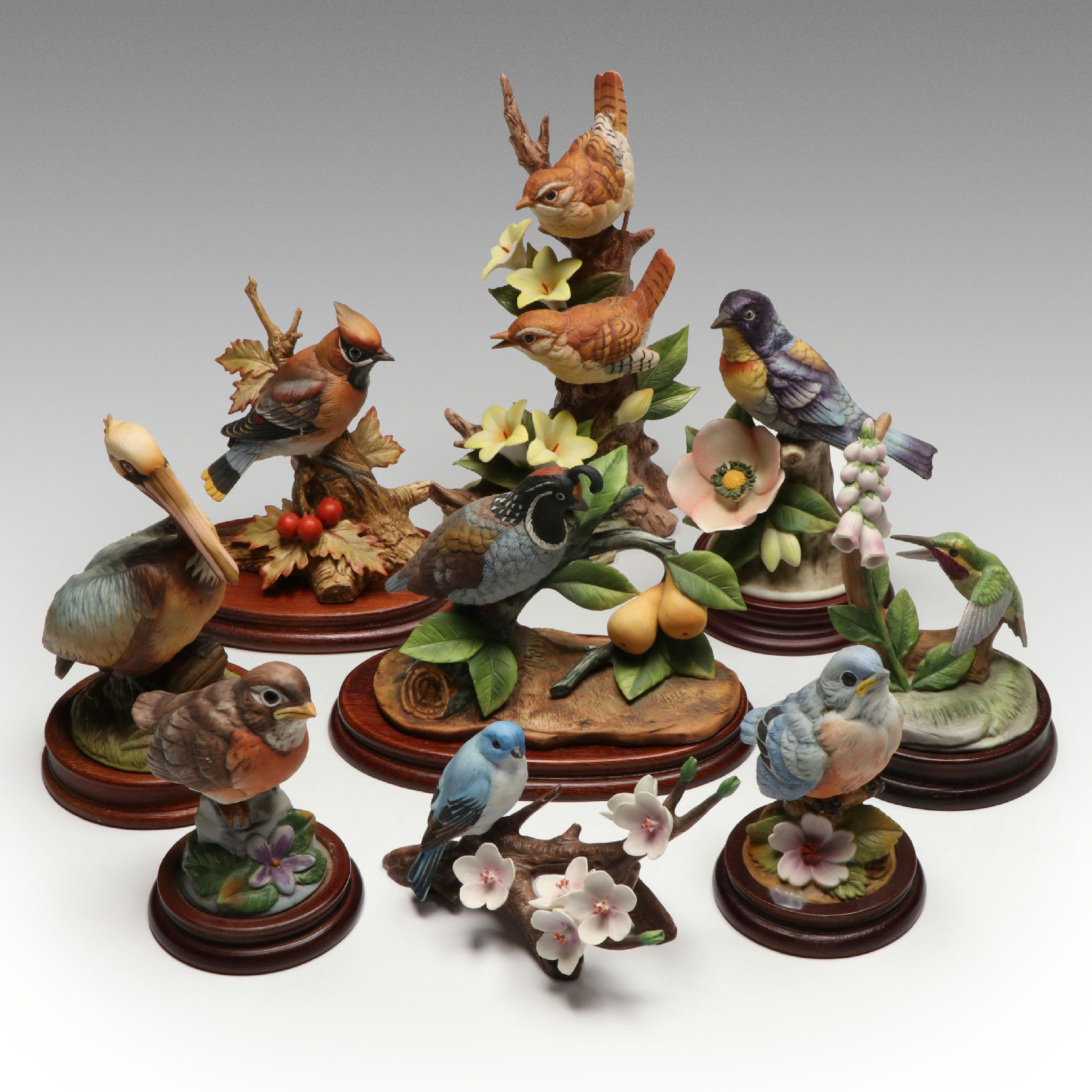 Andrea by Sadek "Brown Pelican," "Calliope Hummingbird" and More Porcelain Birds