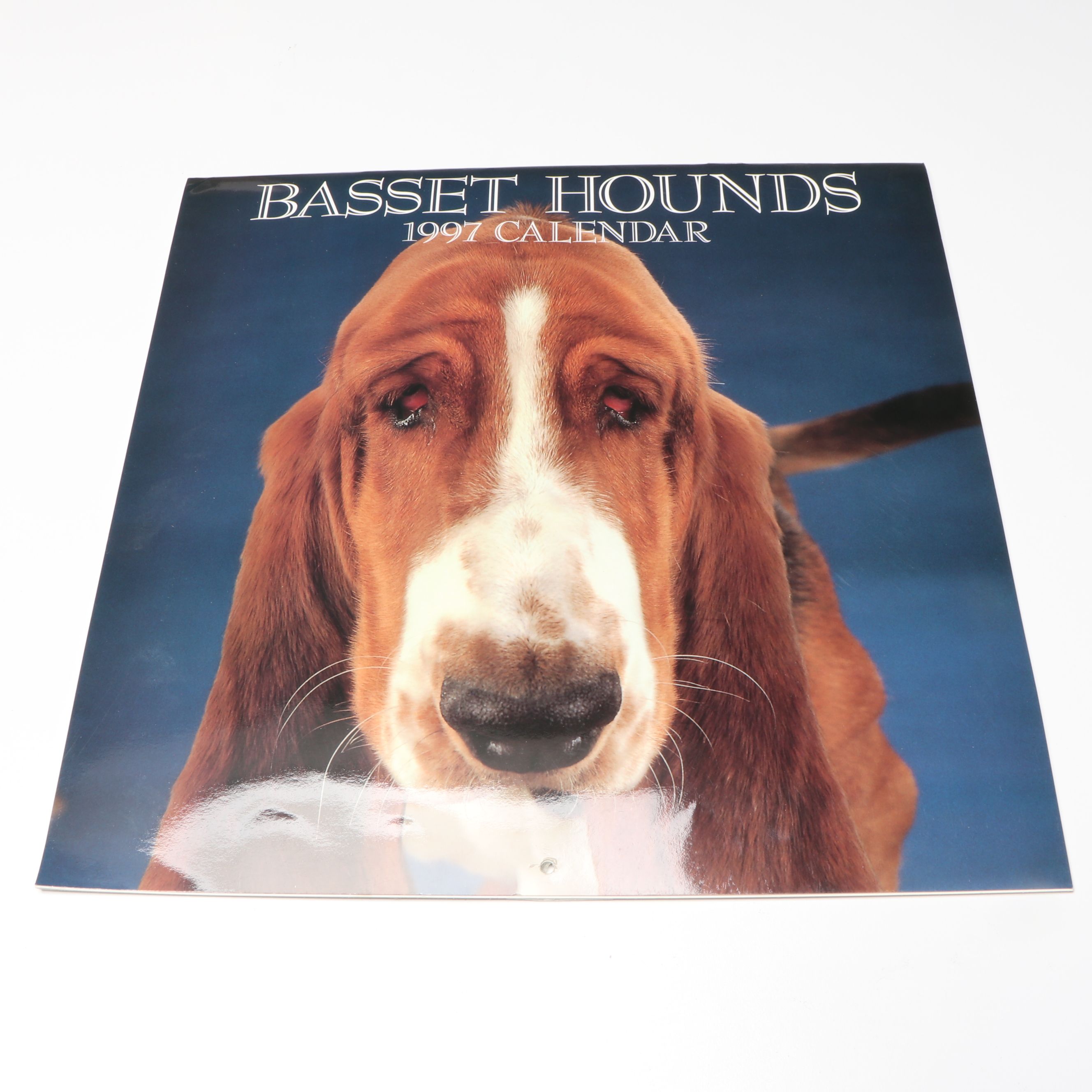 Voice Recording Pet ID Tag with Basset Hound Puzzles and More Décor
