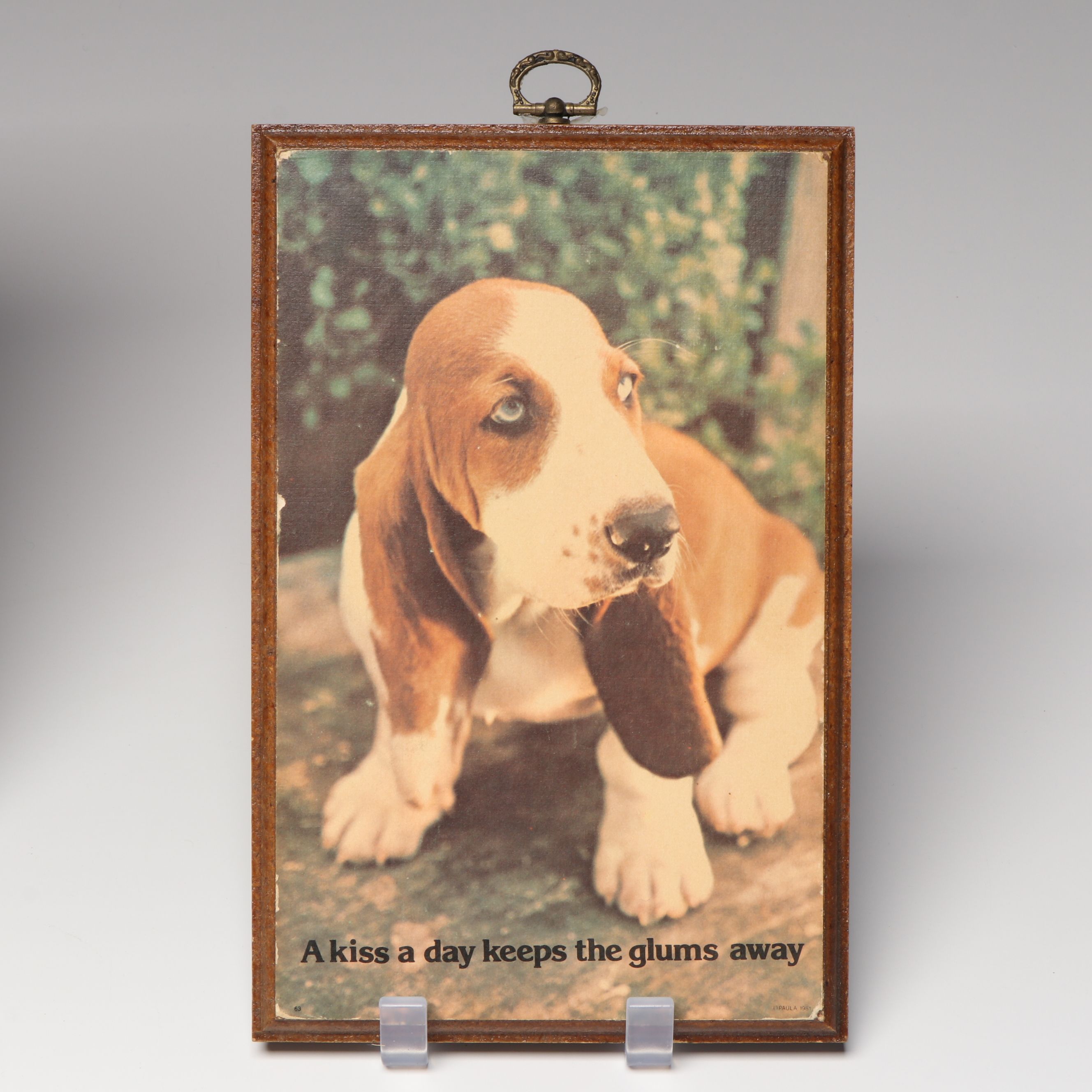 Voice Recording Pet ID Tag with Basset Hound Puzzles and More Décor