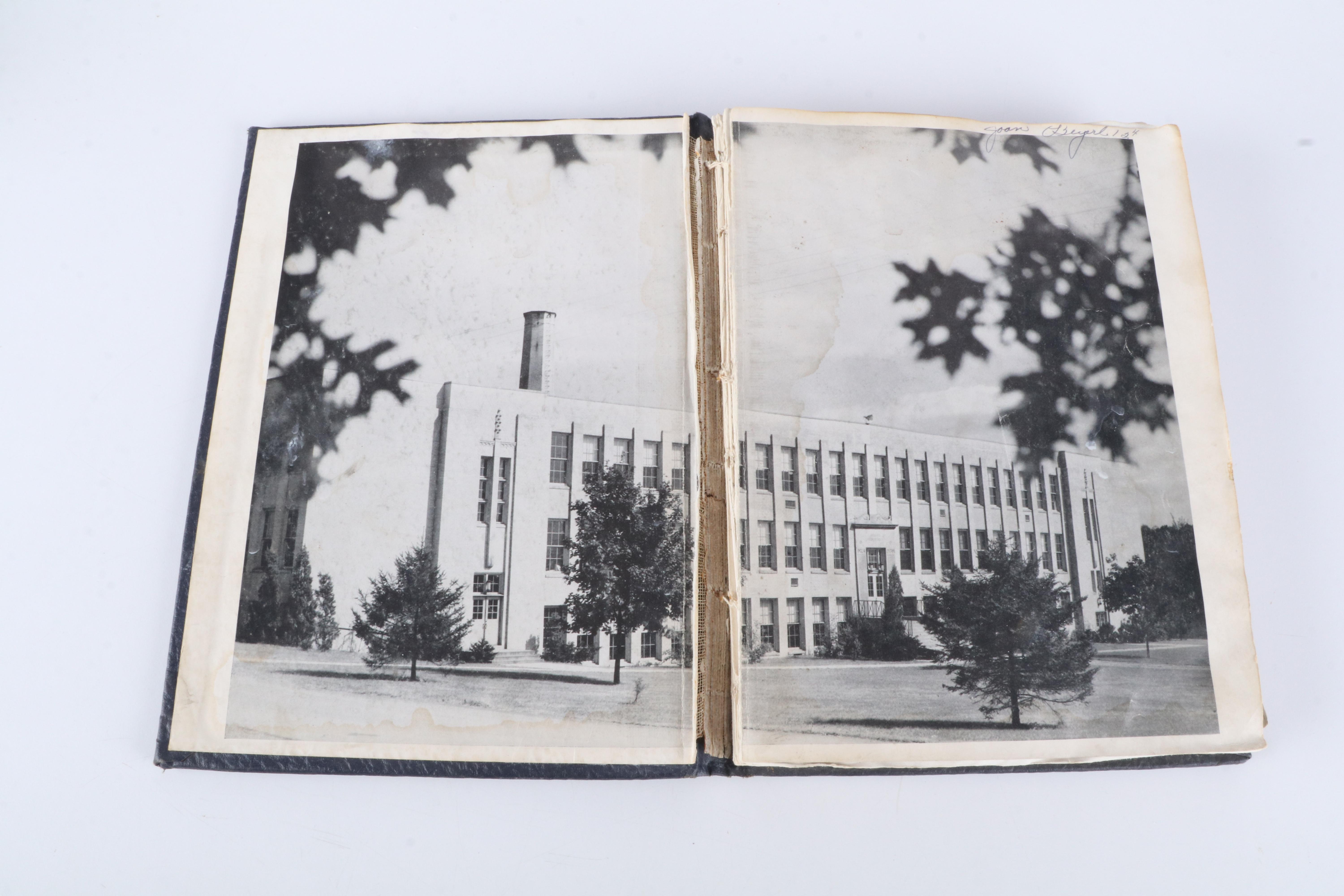 Mark McGwire and Sammy Sosa Danbury Mint Baseball Cards with More