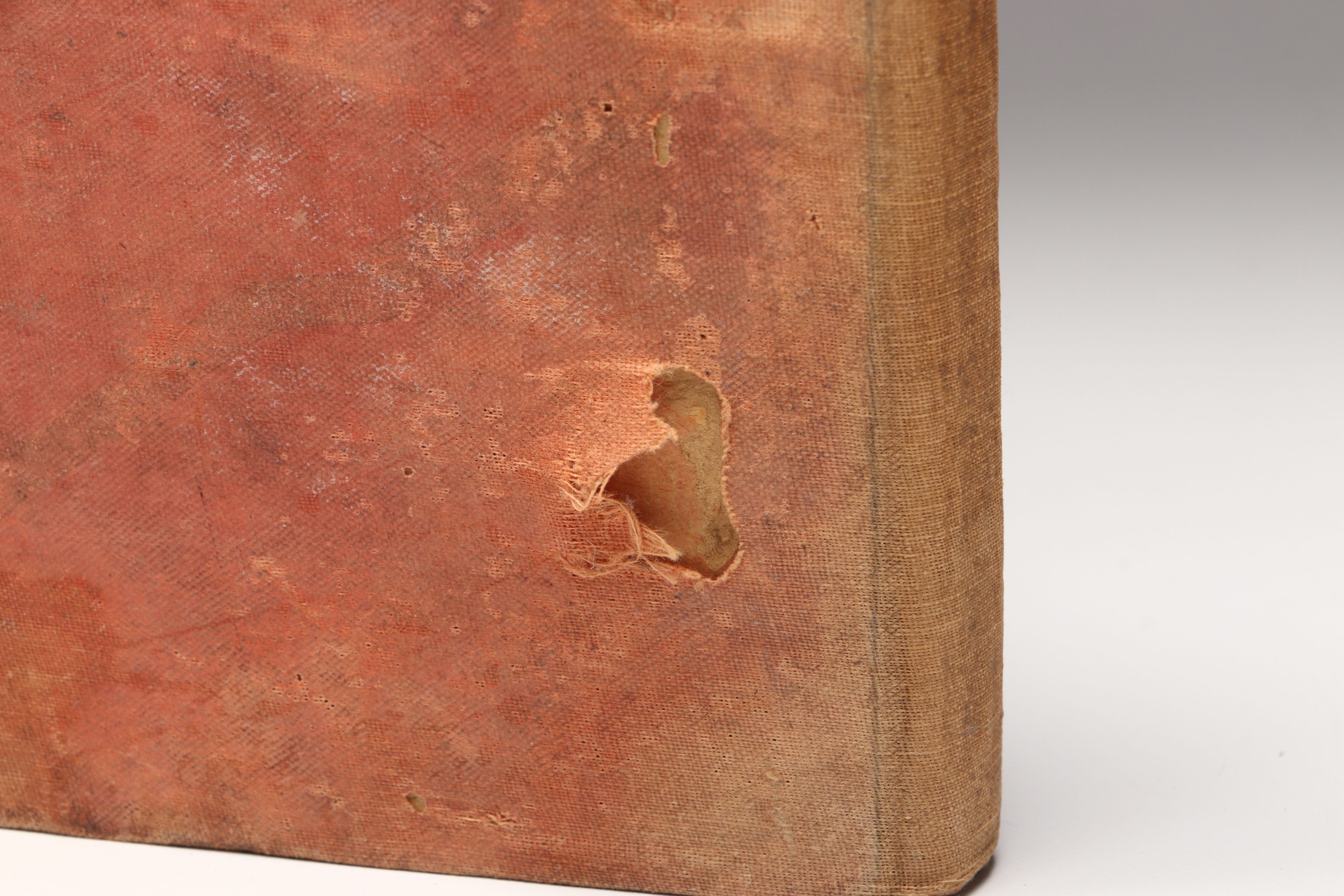 Edward A. Wilson Illustrated "Robinson Crusoe" by Daniel Defoe and More Books