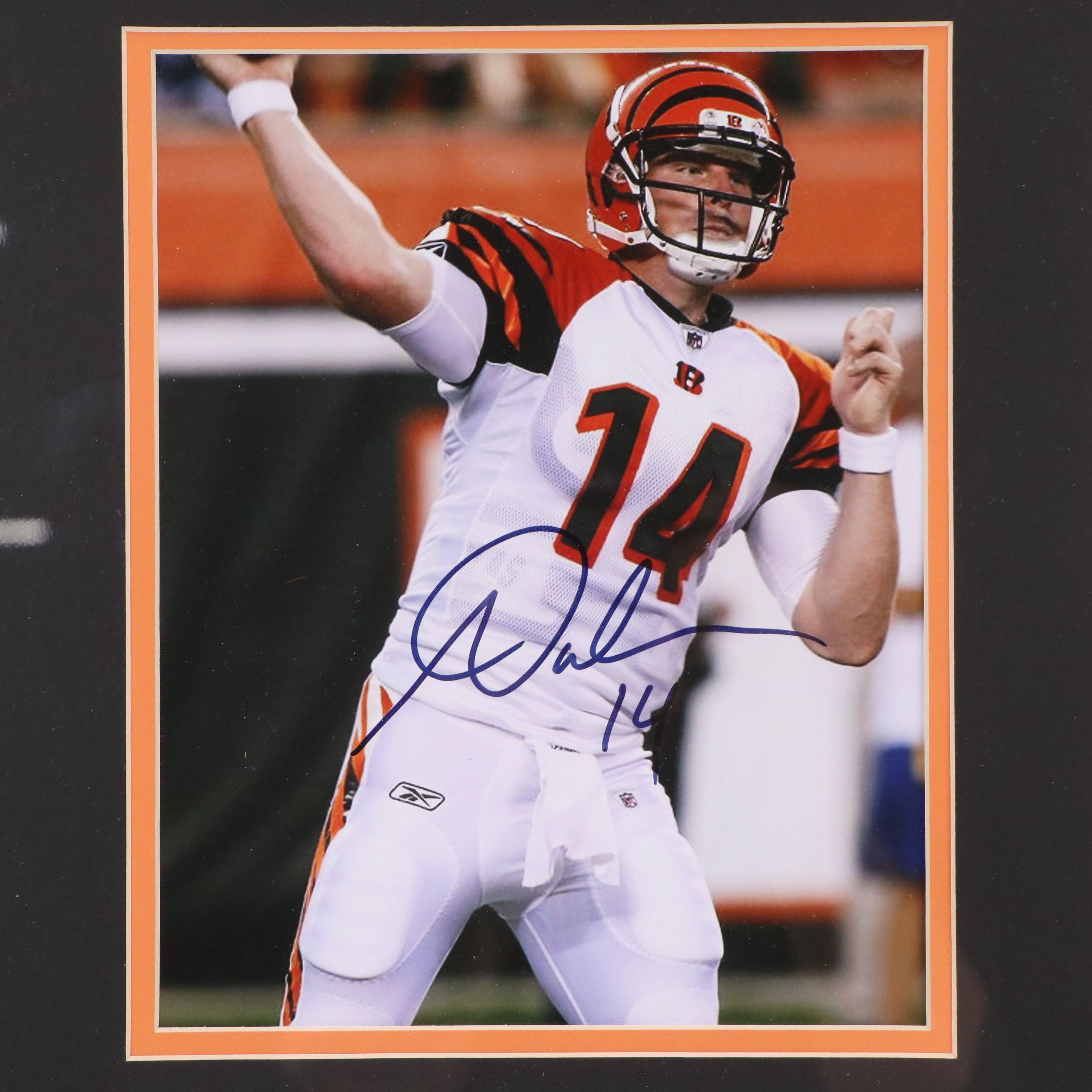 Andy Dalton, A. J. Green, and Rey Maualuga Signed Cincinnati Bengals Display