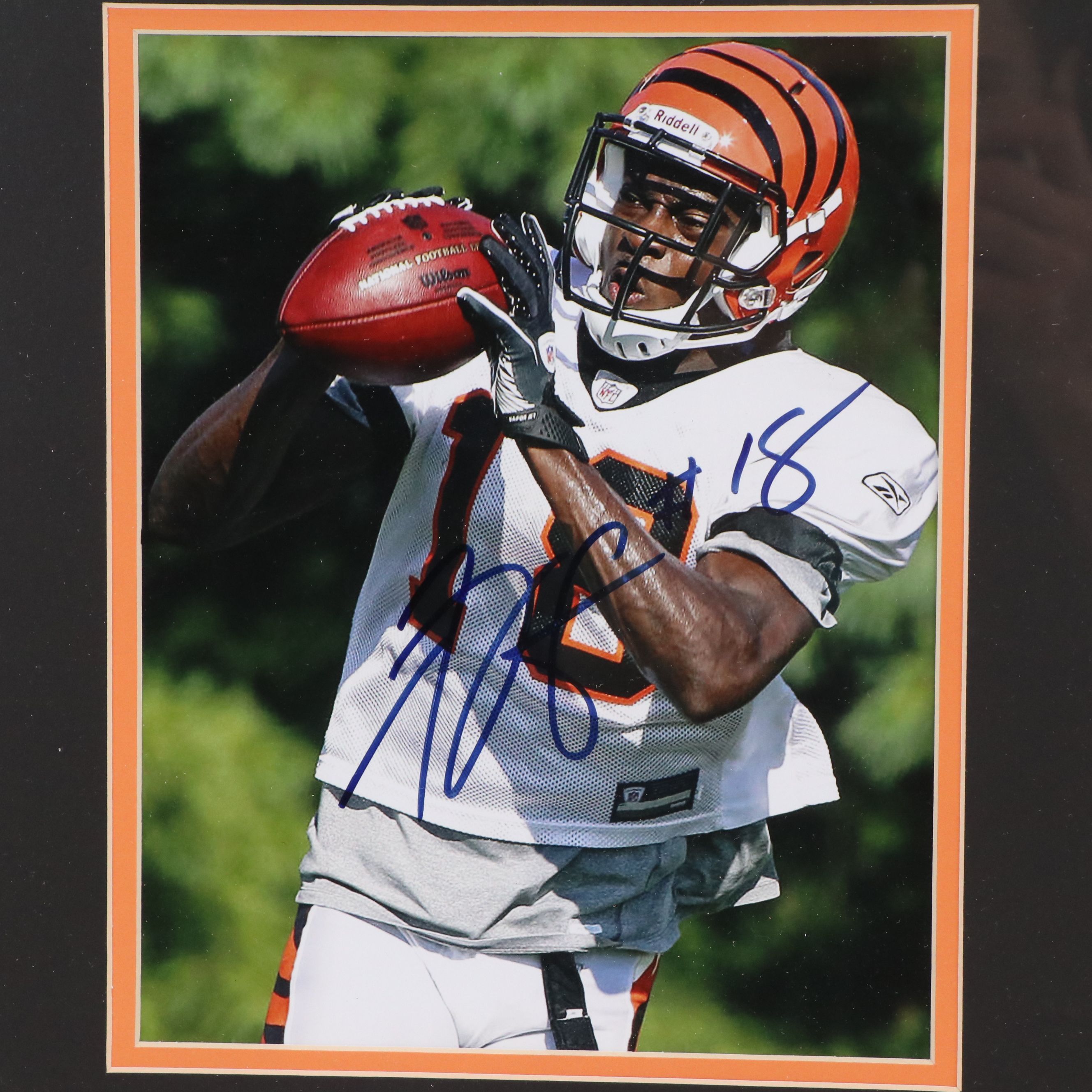 Andy Dalton, A. J. Green, and Rey Maualuga Signed Cincinnati Bengals Display