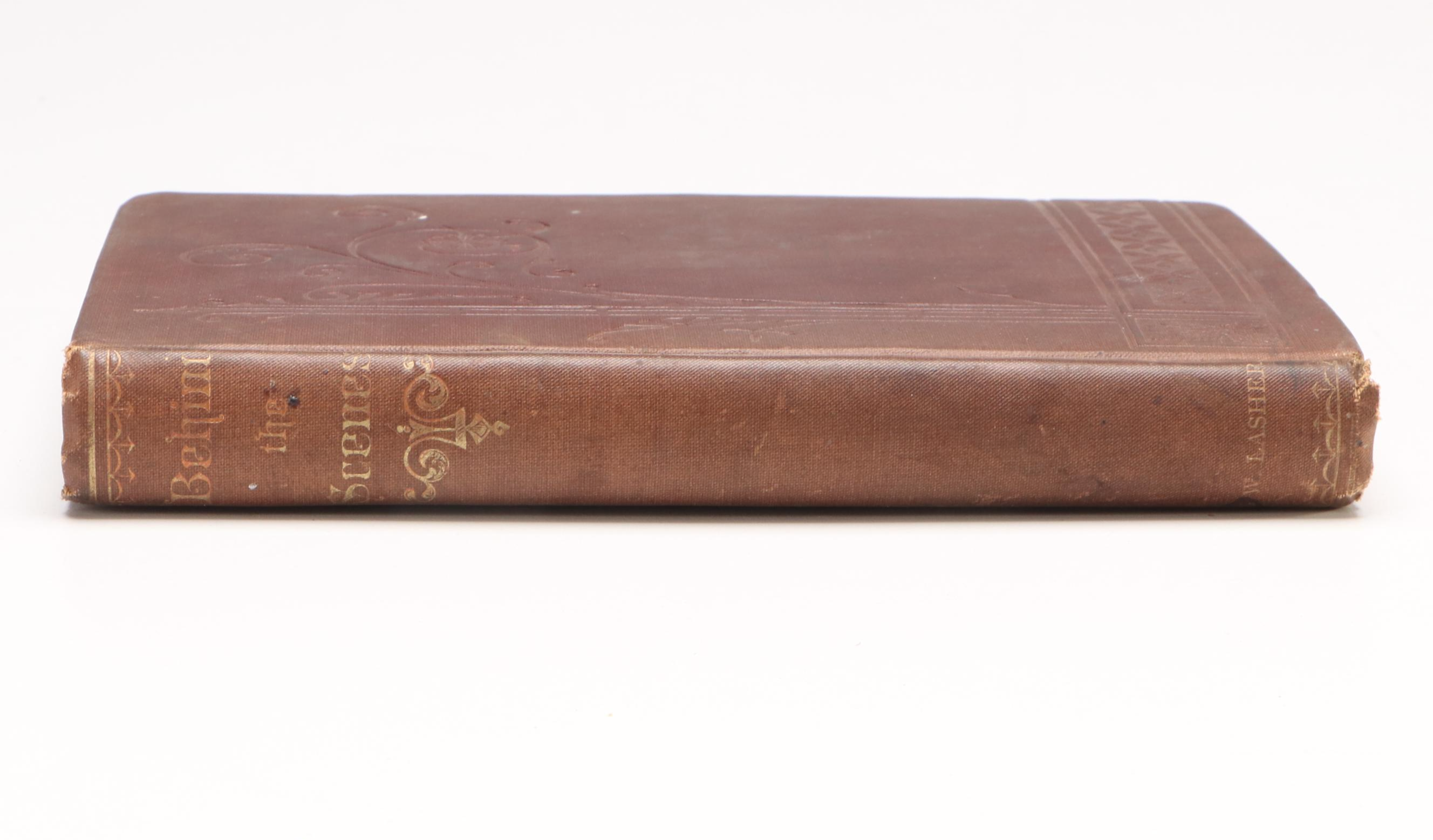 "Behind the Scenes: Sketches from Real Life" by F. M. Iams, 1883