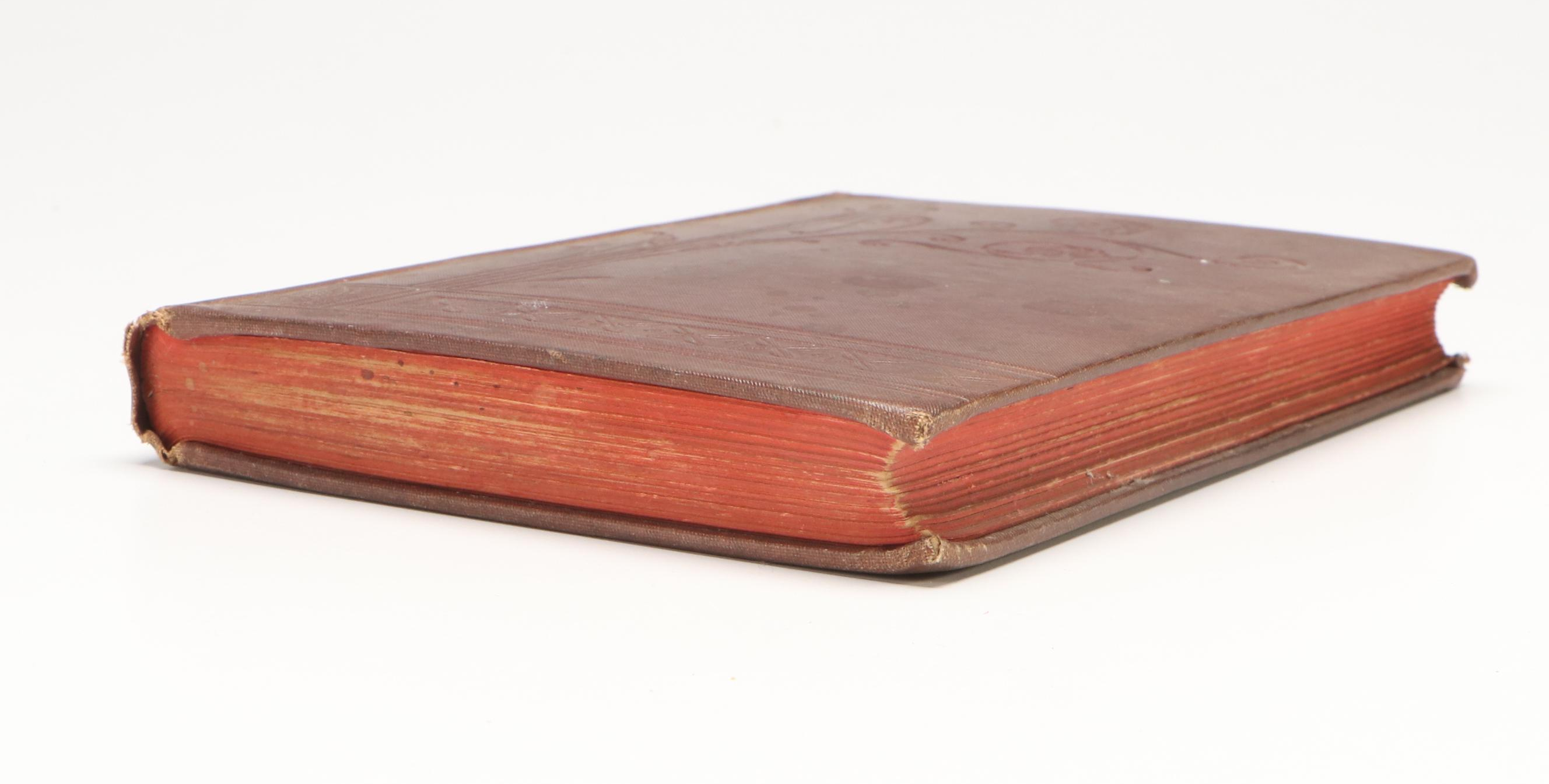 "Behind the Scenes: Sketches from Real Life" by F. M. Iams, 1883