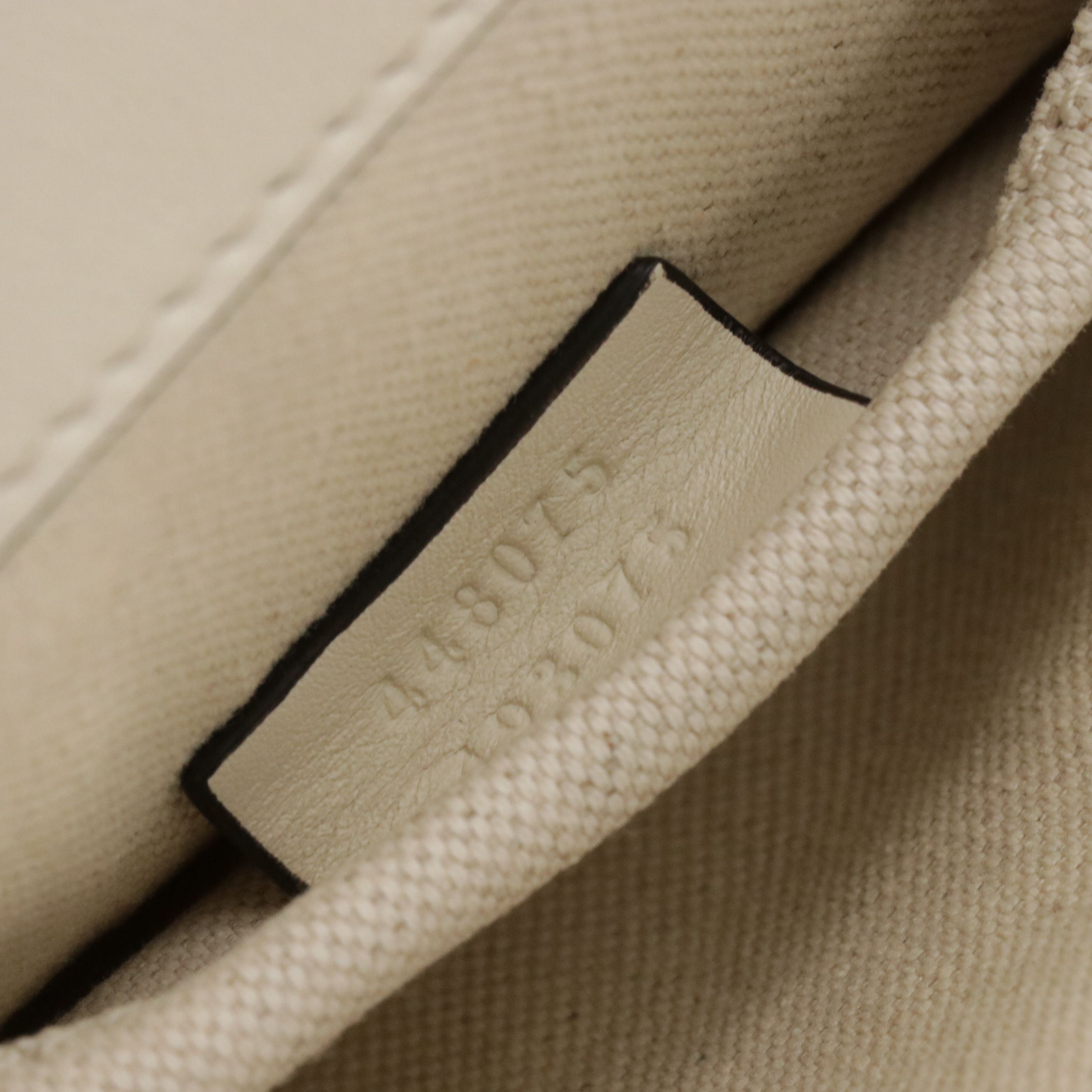 Gucci Dionysus Two-Way Bag in Smooth Tricolor Leather