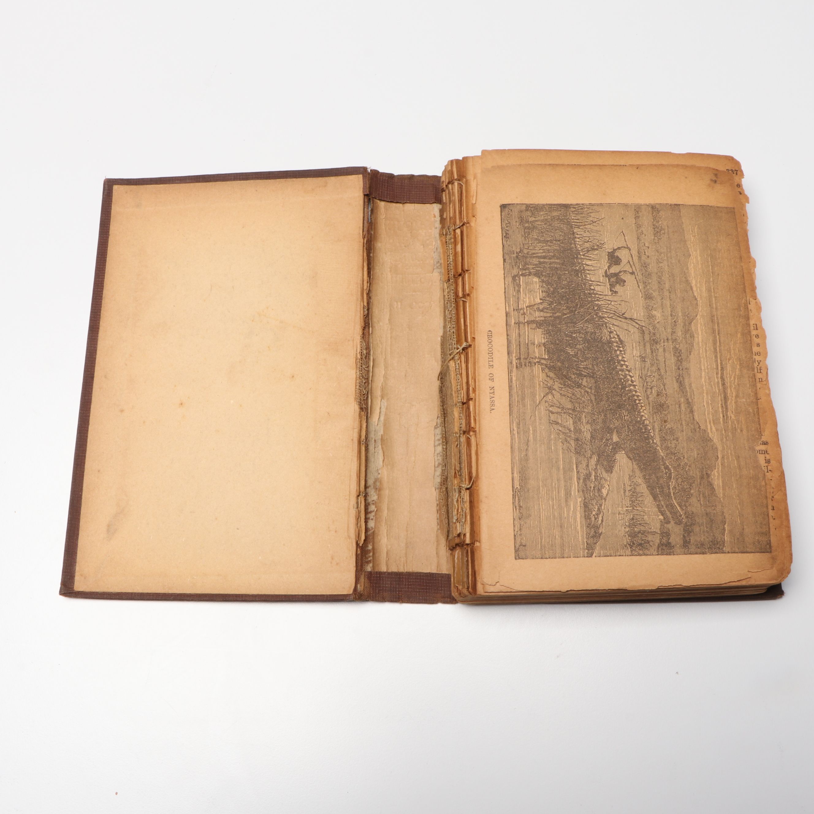 A New Centennial Edition "The Covered Wagon" by Emerson Hough and Other Books