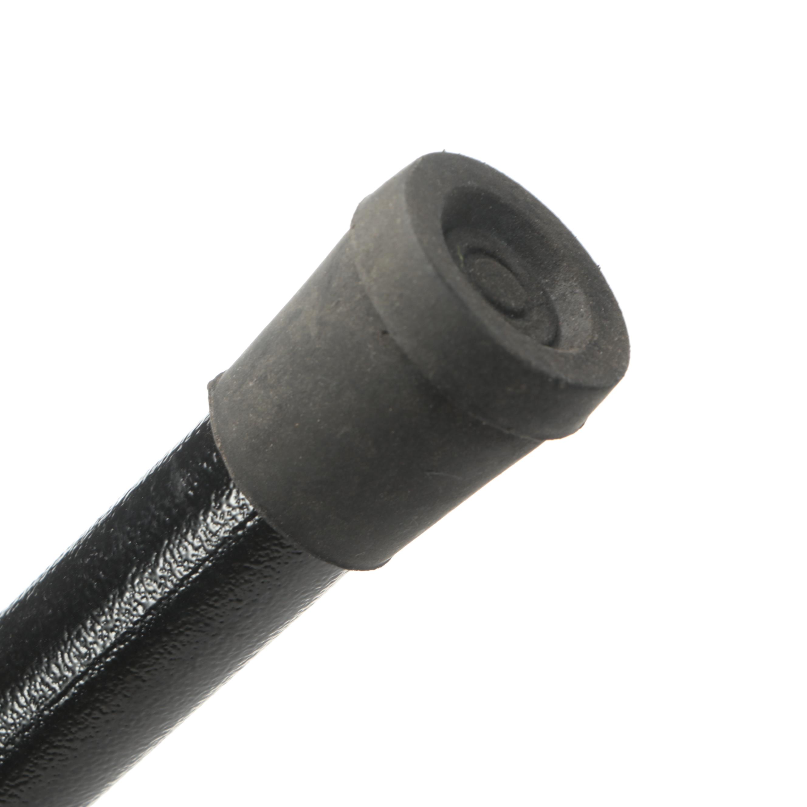 Snarling Snake Sword Cane