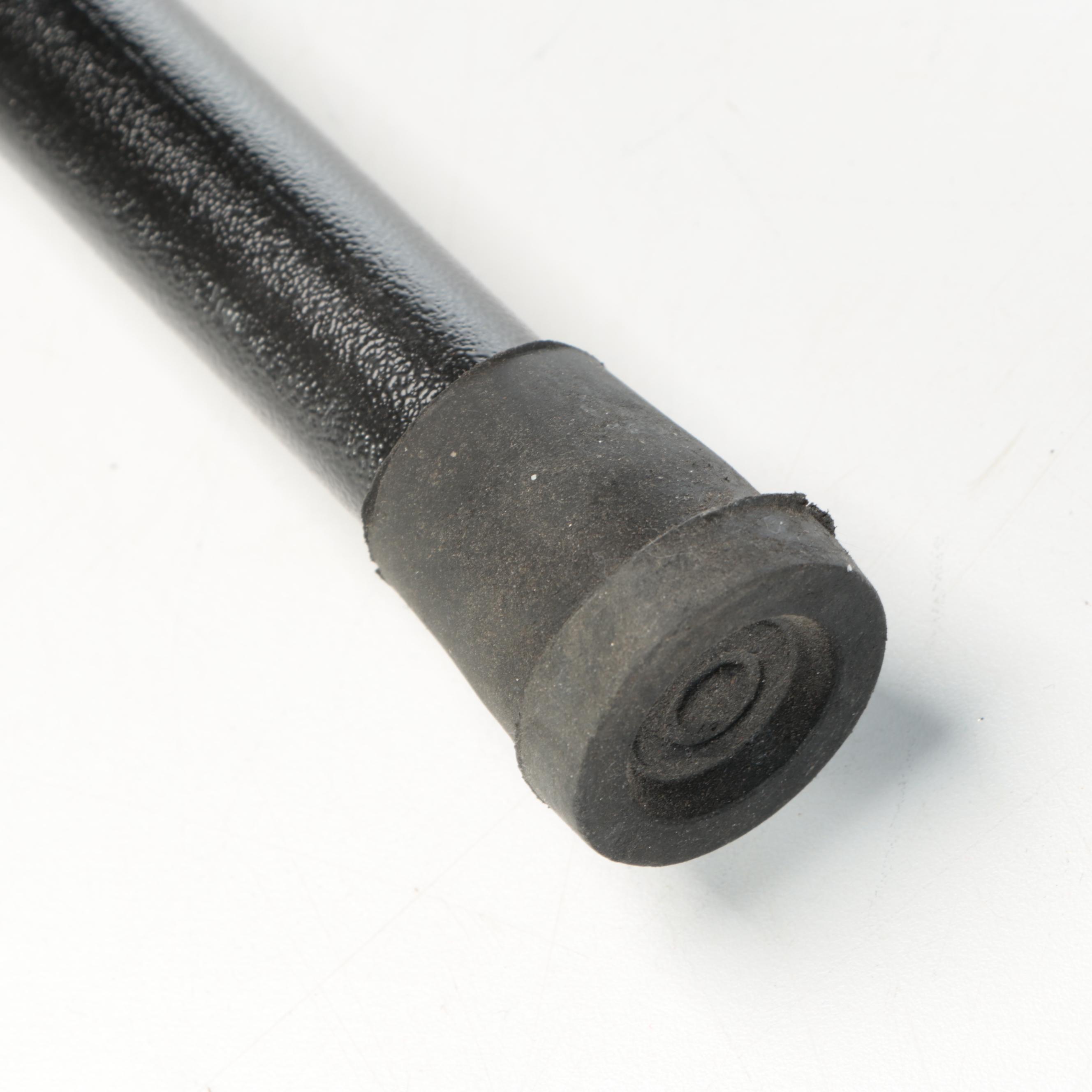 Leaping Lion Handled Sword Cane