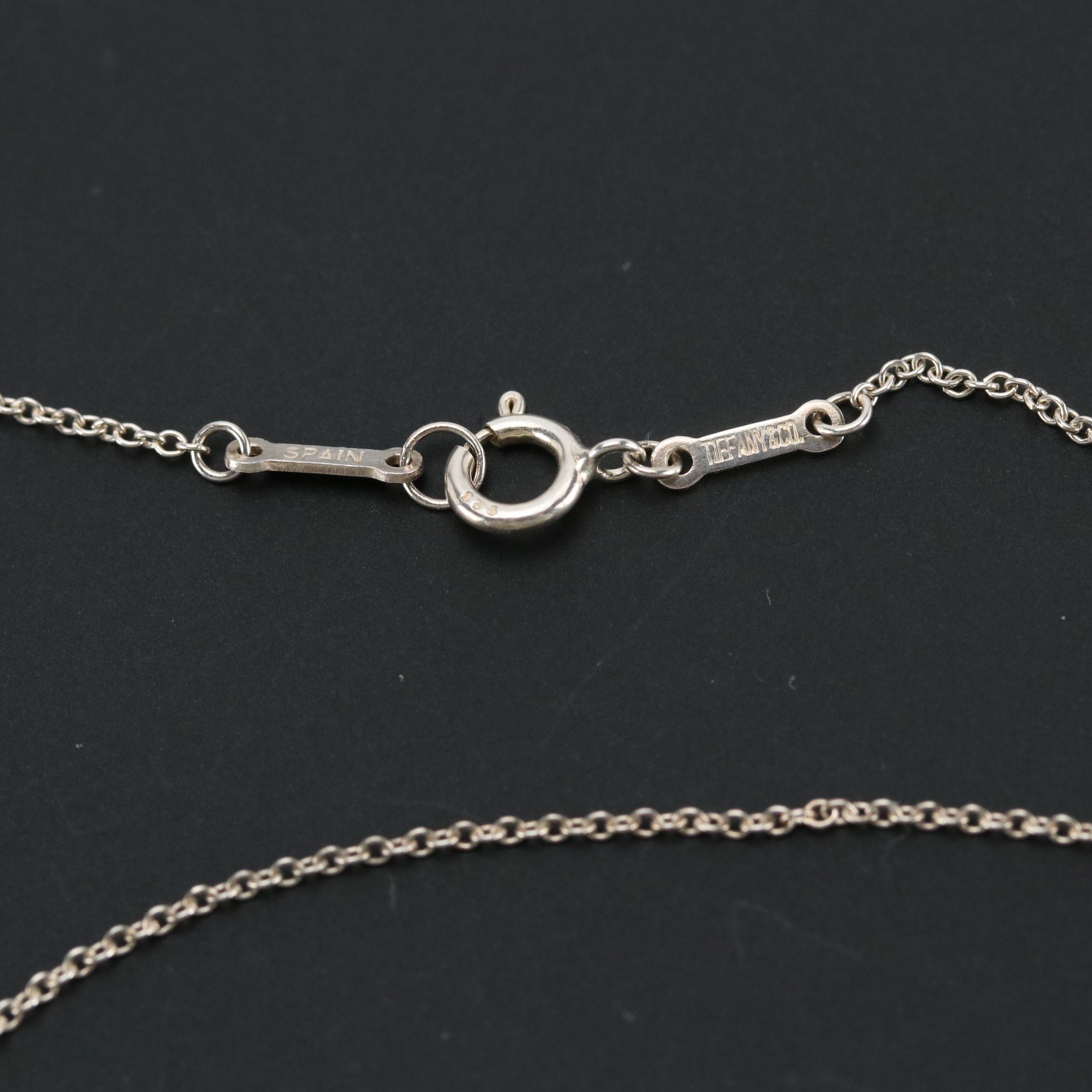 Elsa Peretti for Tiffany & Co. Sterling Silver Eternal Circle Pendant Necklace