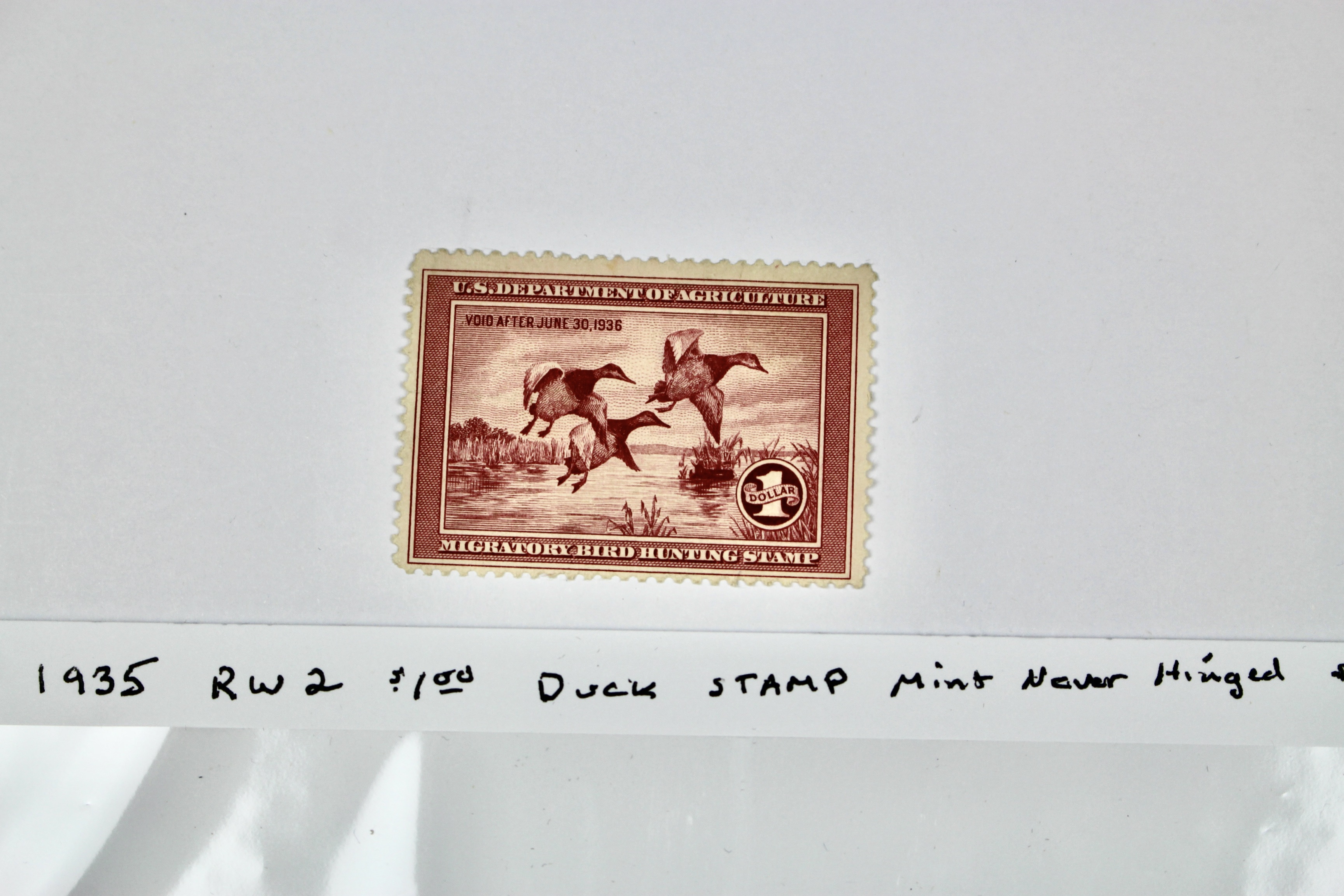 1935 $1 U.S. Duck Stamp, Scott RW2, Mint Never Hinged