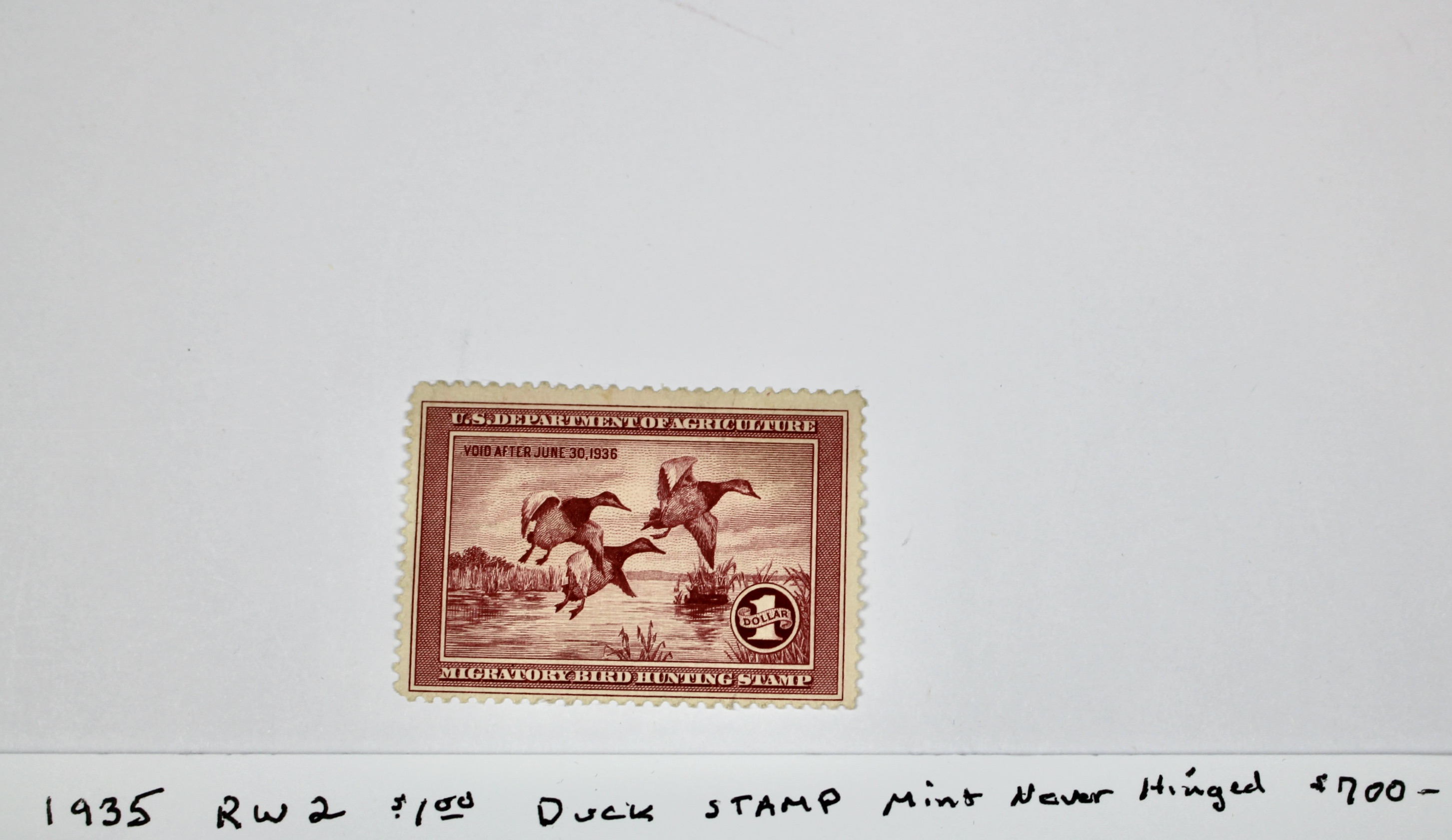 1935 $1 U.S. Duck Stamp, Scott RW2, Mint Never Hinged