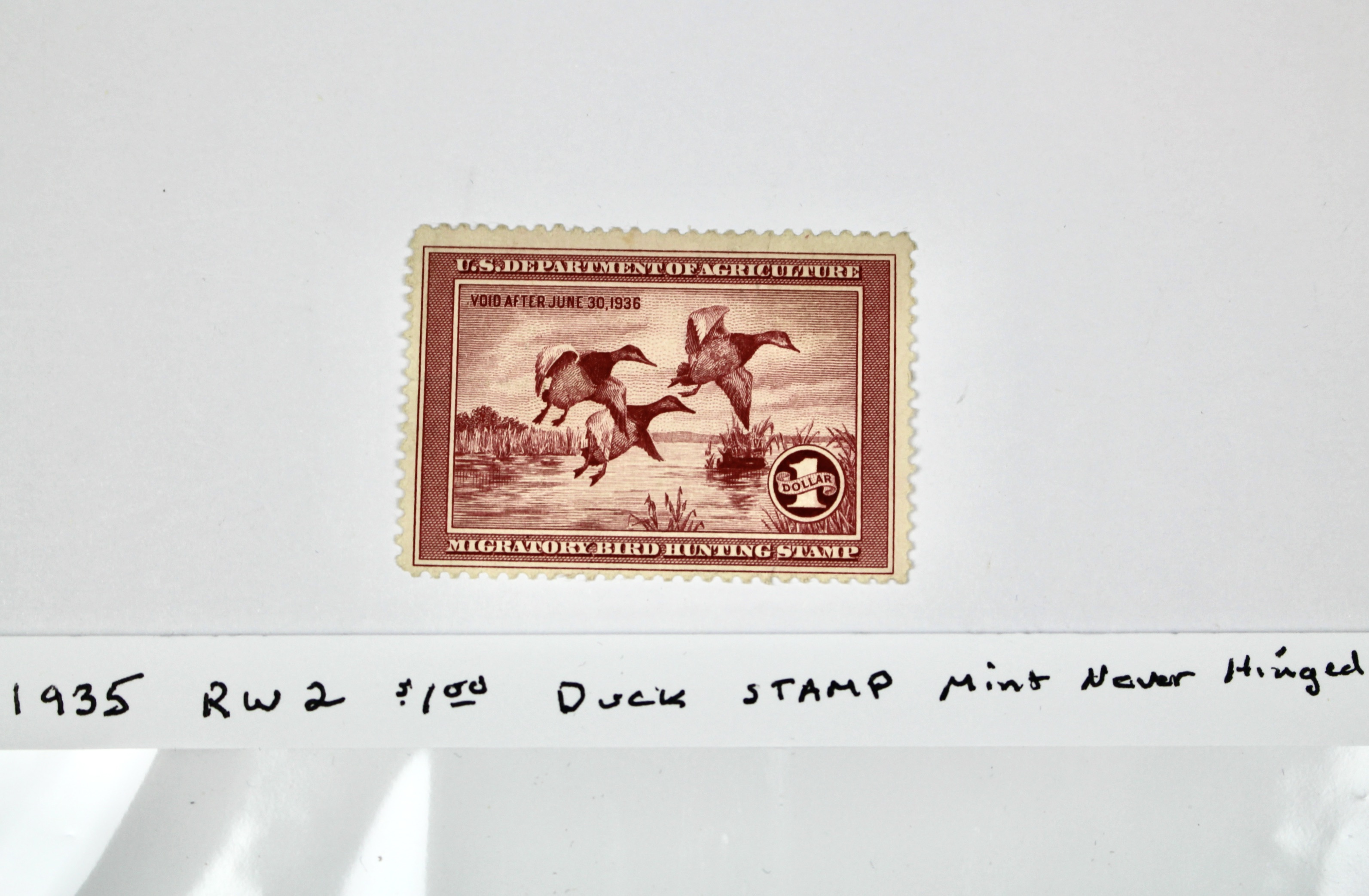 1935 $1 U.S. Duck Stamp, Scott RW2, Mint Never Hinged