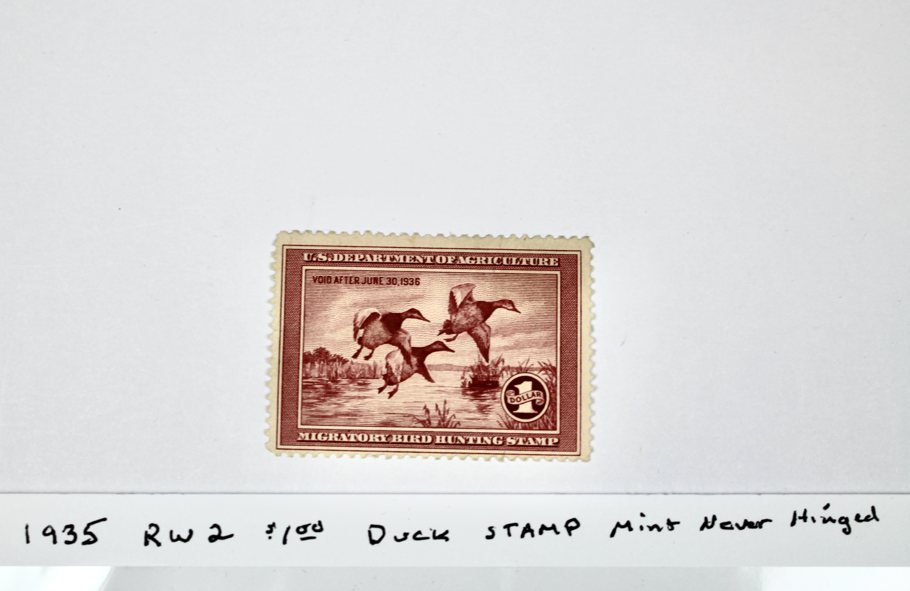 1935 $1 U.S. Duck Stamp, Scott RW2, Mint Never Hinged