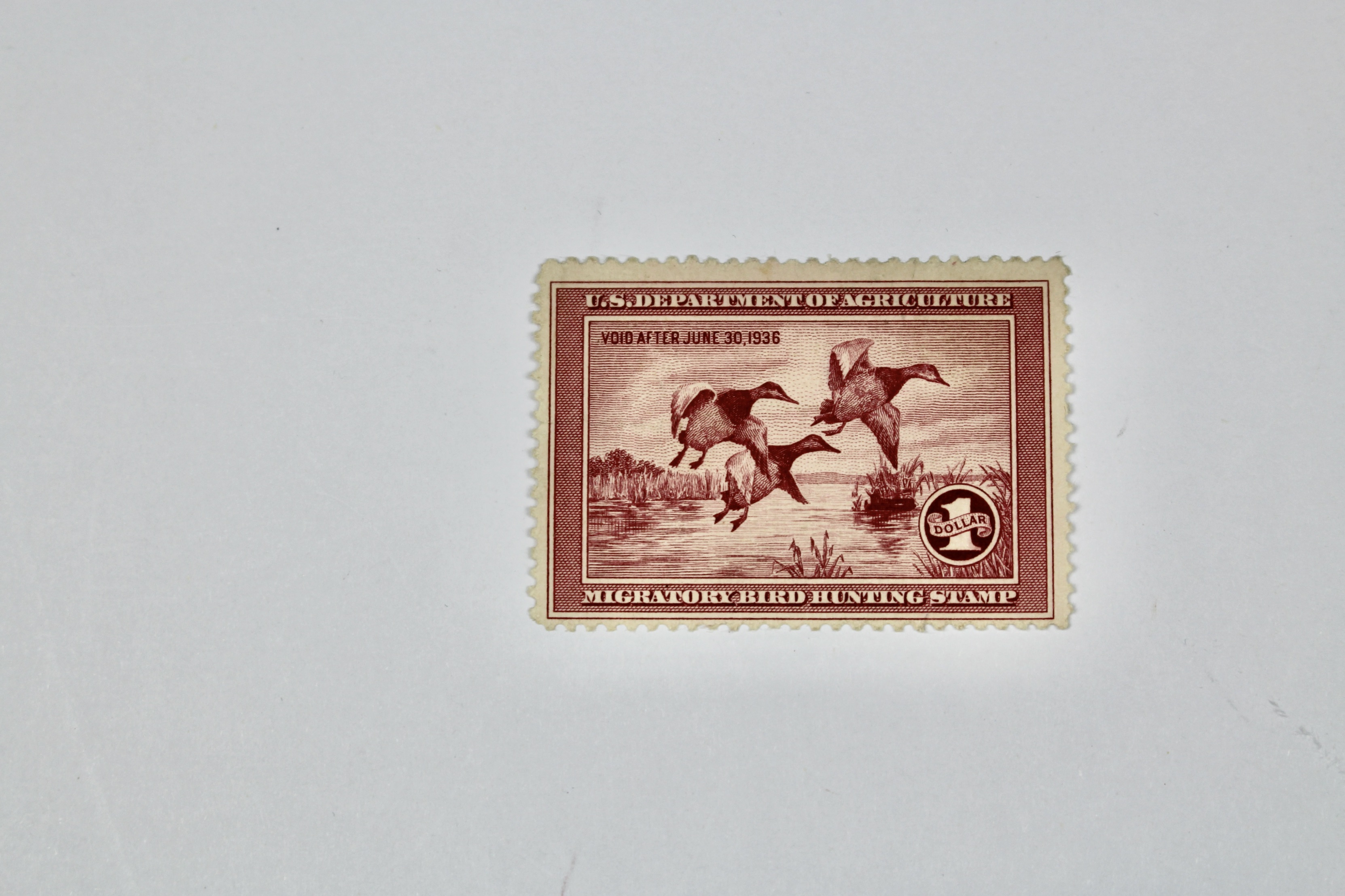 1935 $1 U.S. Duck Stamp, Scott RW2, Mint Never Hinged