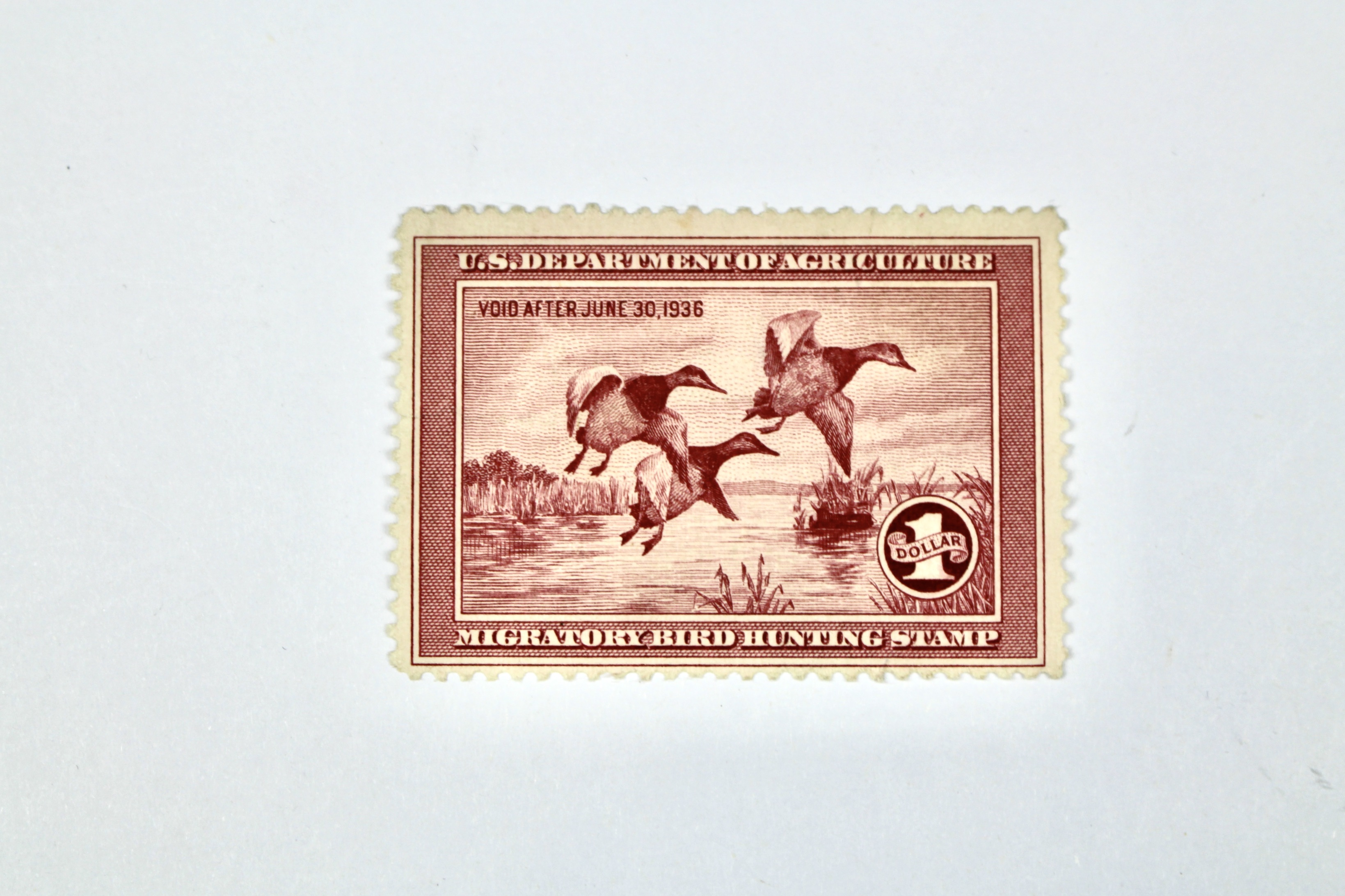1935 $1 U.S. Duck Stamp, Scott RW2, Mint Never Hinged