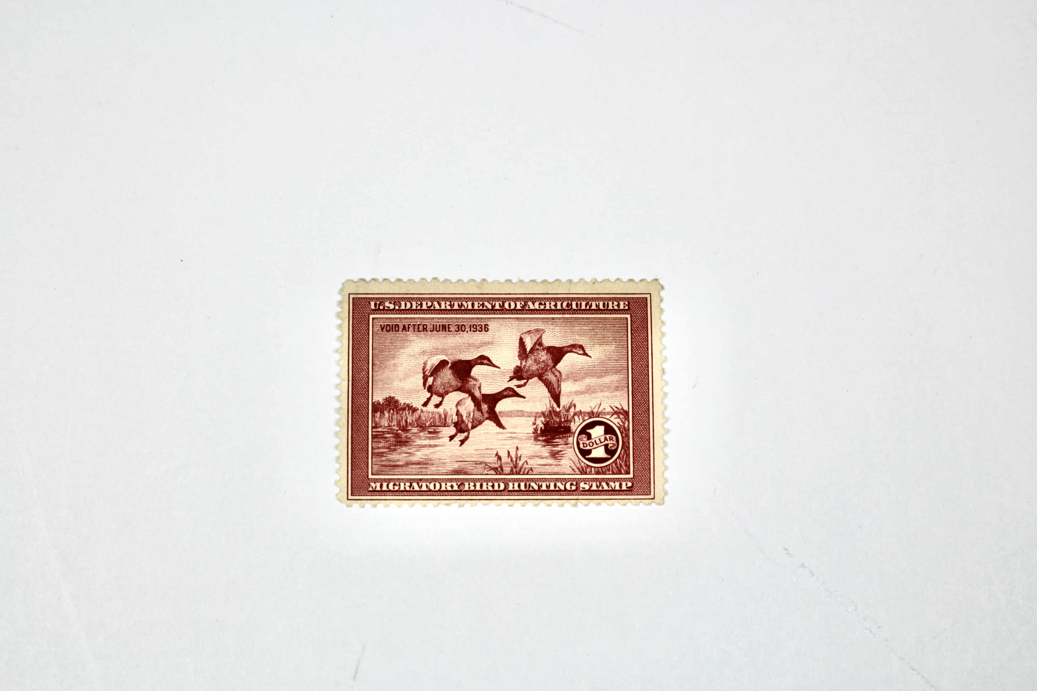1935 $1 U.S. Duck Stamp, Scott RW2, Mint Never Hinged