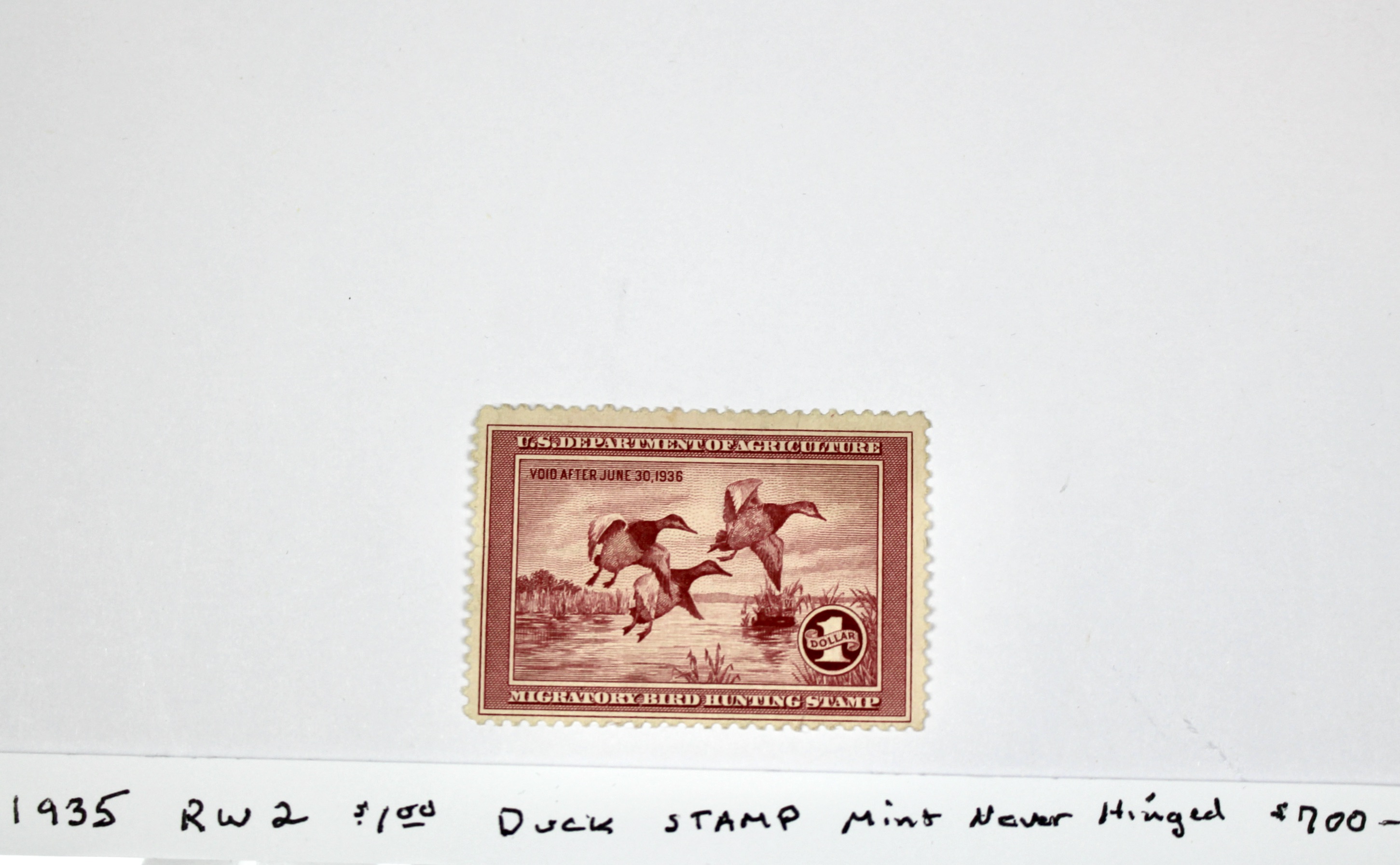1935 $1 U.S. Duck Stamp, Scott RW2, Mint Never Hinged