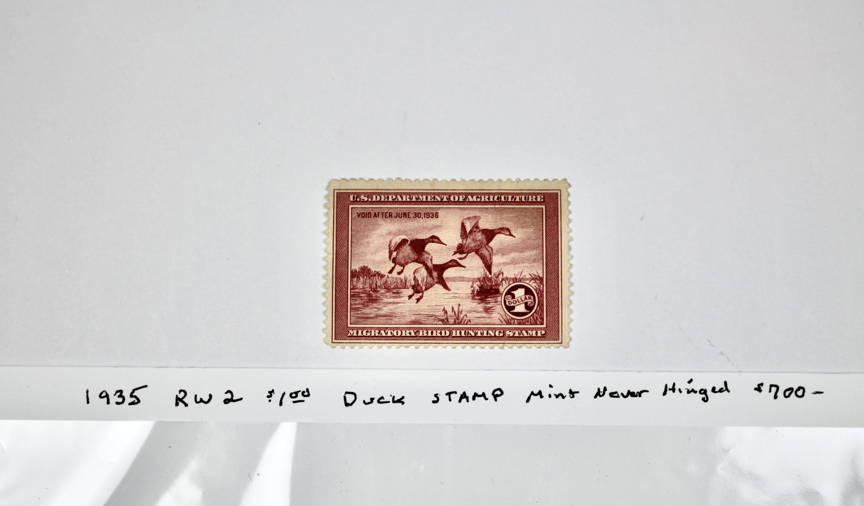 1935 $1 U.S. Duck Stamp, Scott RW2, Mint Never Hinged