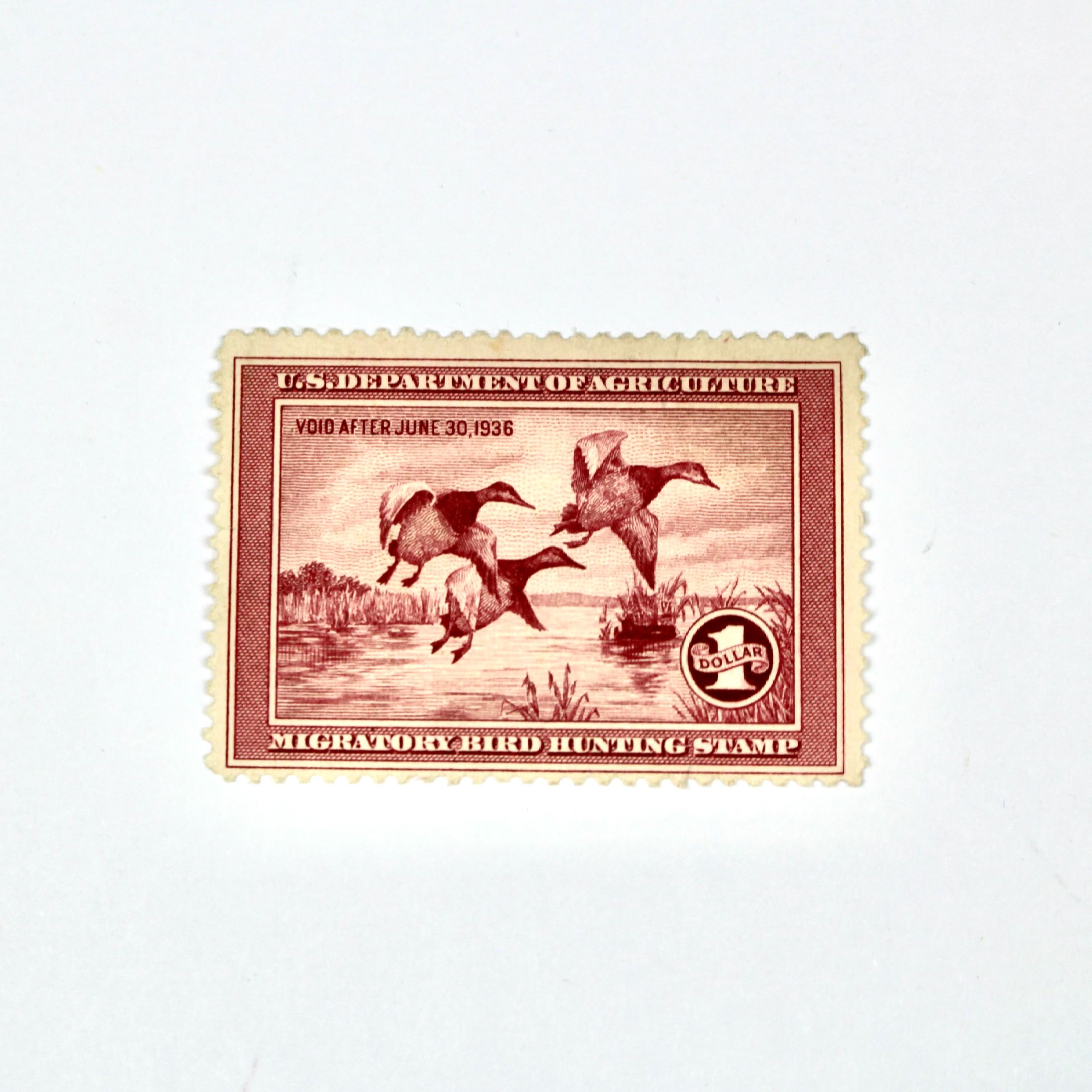 1935 $1 U.S. Duck Stamp, Scott RW2, Mint Never Hinged