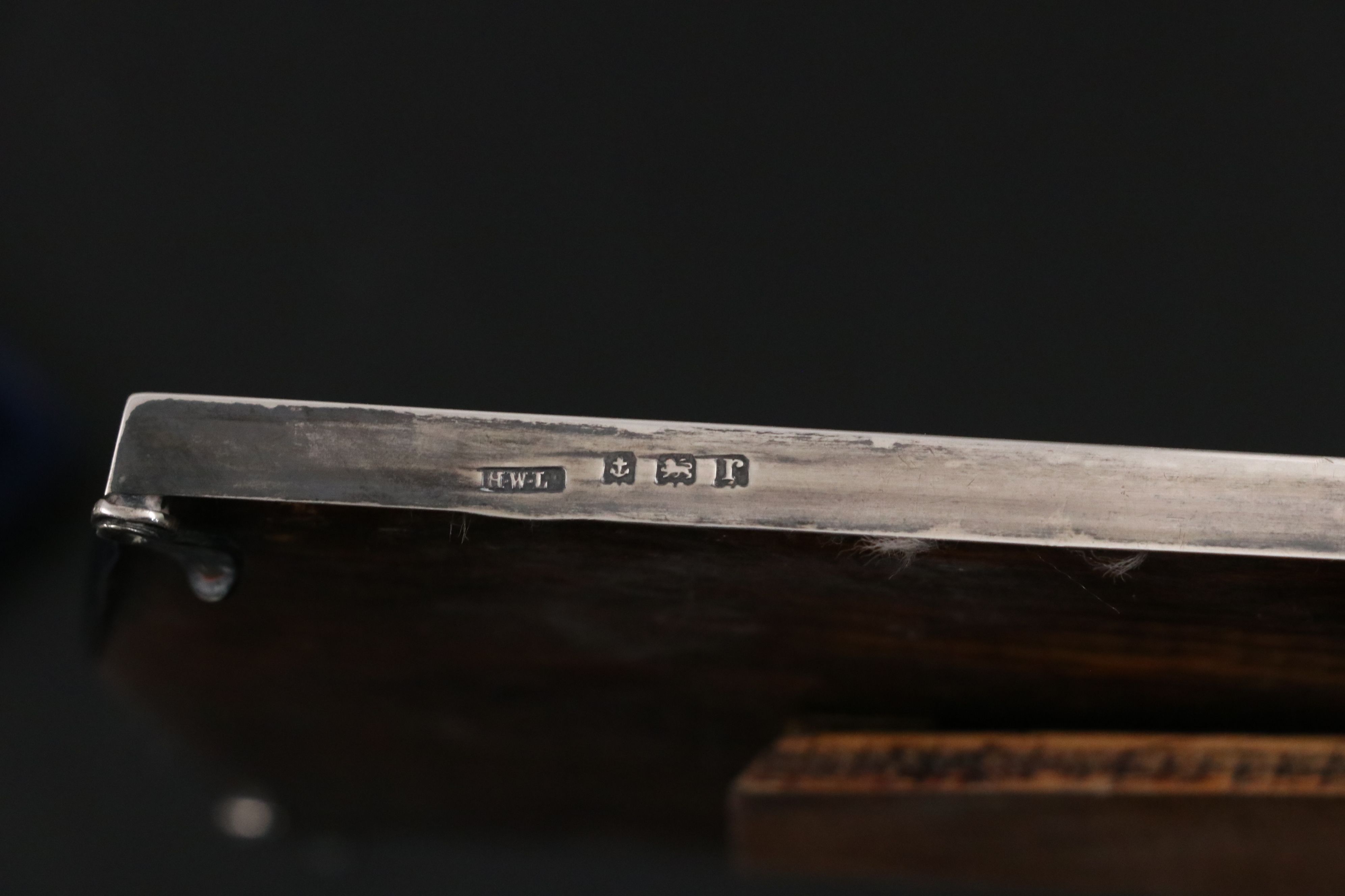 Henry Williamson English Sterling with Cast Metal and Other Picture Frames