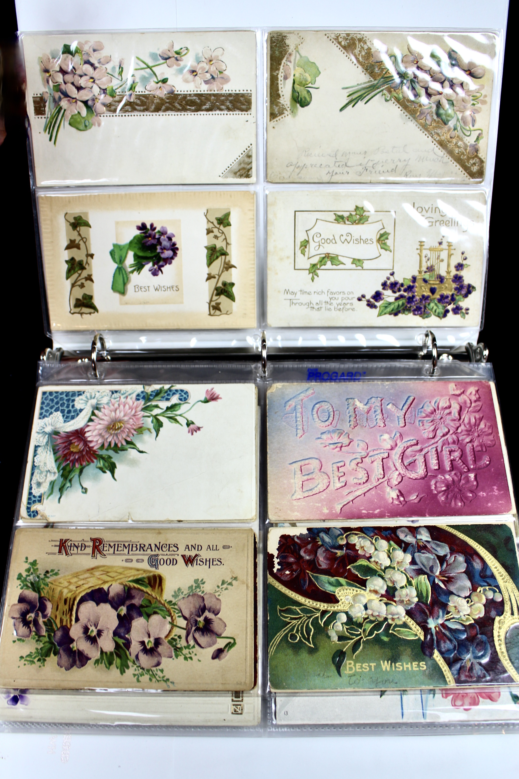 Album of 99 Embossed Floral-Themed Postcards, Early 1900s