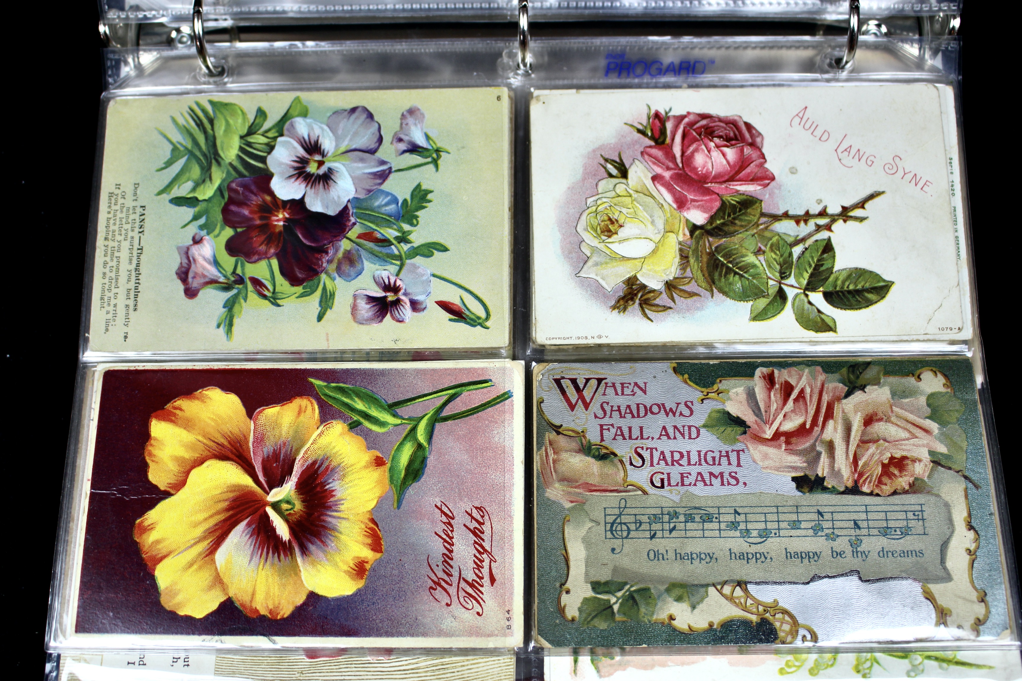 Album of 99 Embossed Floral-Themed Postcards, Early 1900s