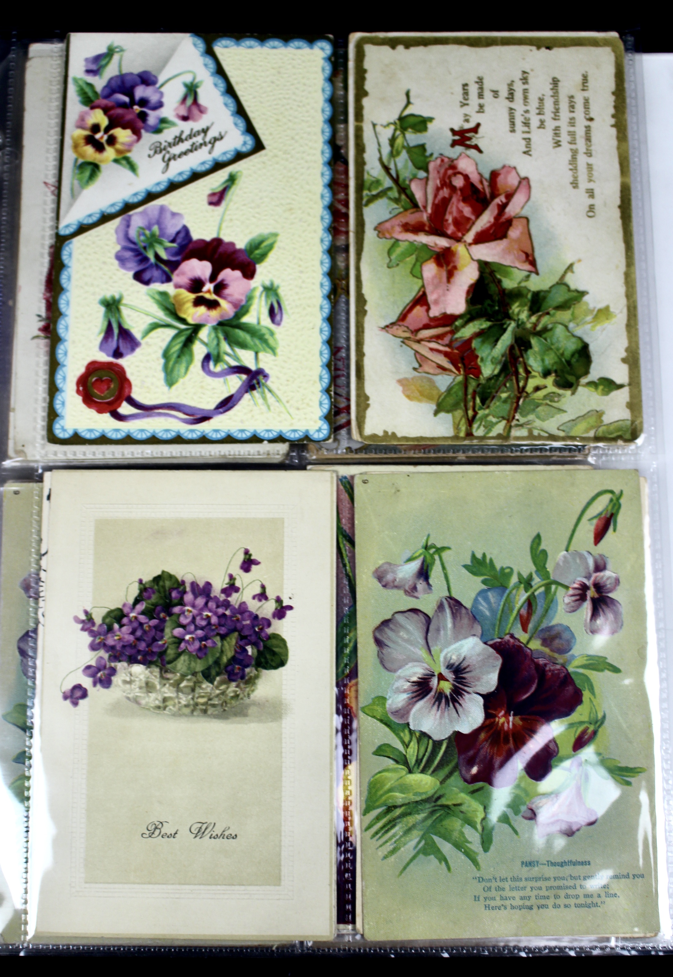 Album of 99 Embossed Floral-Themed Postcards, Early 1900s