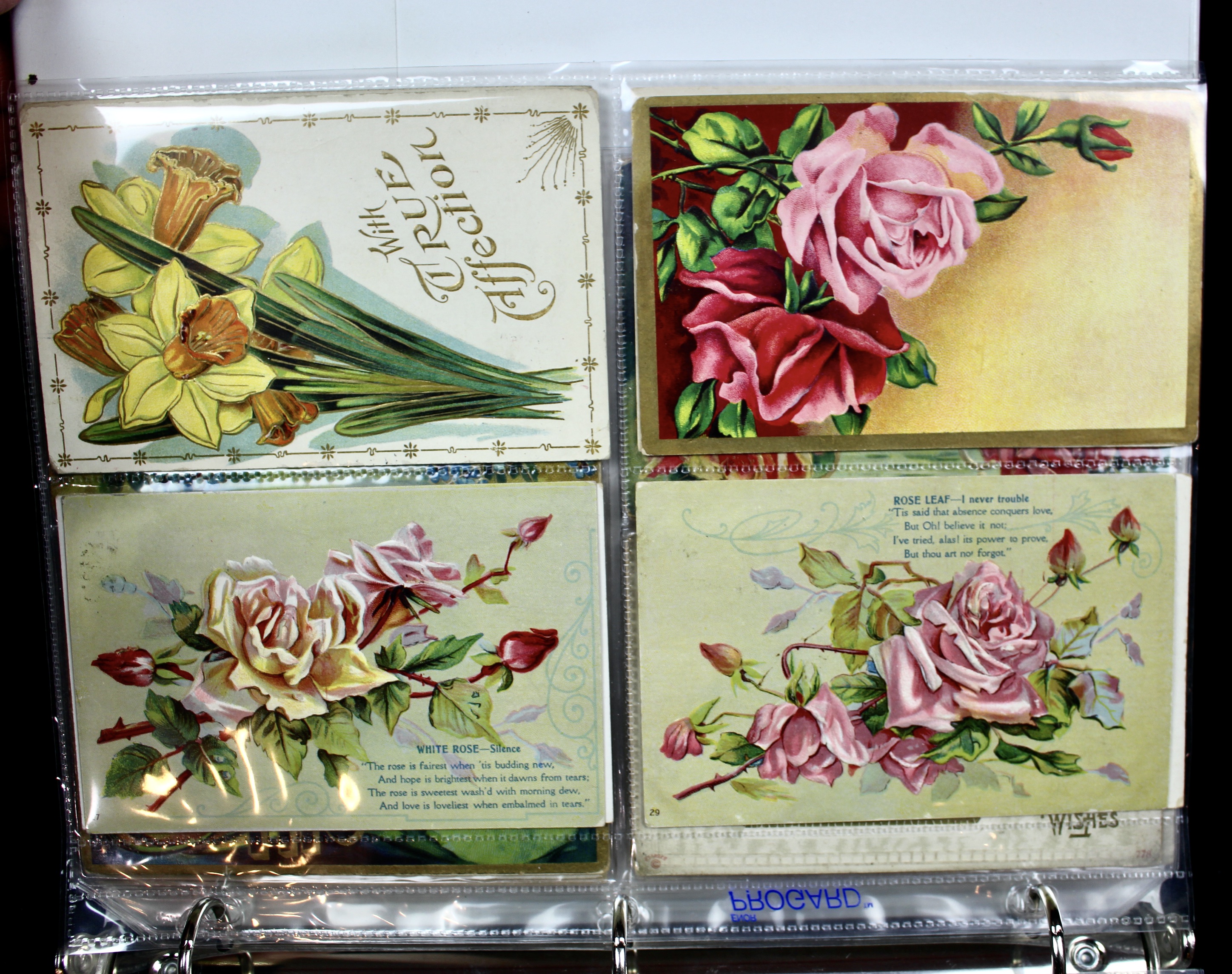 Album of 99 Embossed Floral-Themed Postcards, Early 1900s